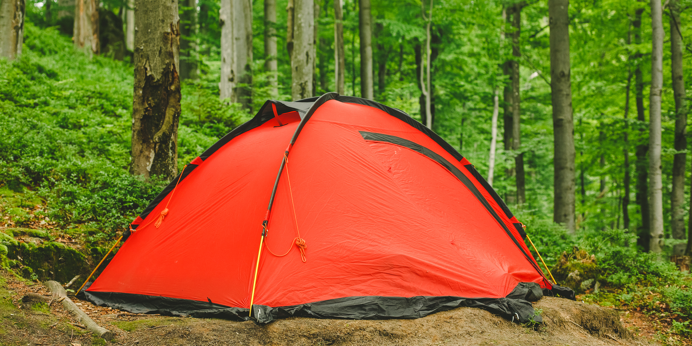 A tent | Source: Shutterstock