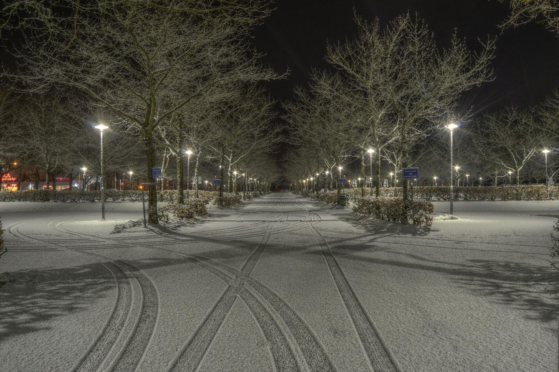 A snow-covered path | Source: Pexels