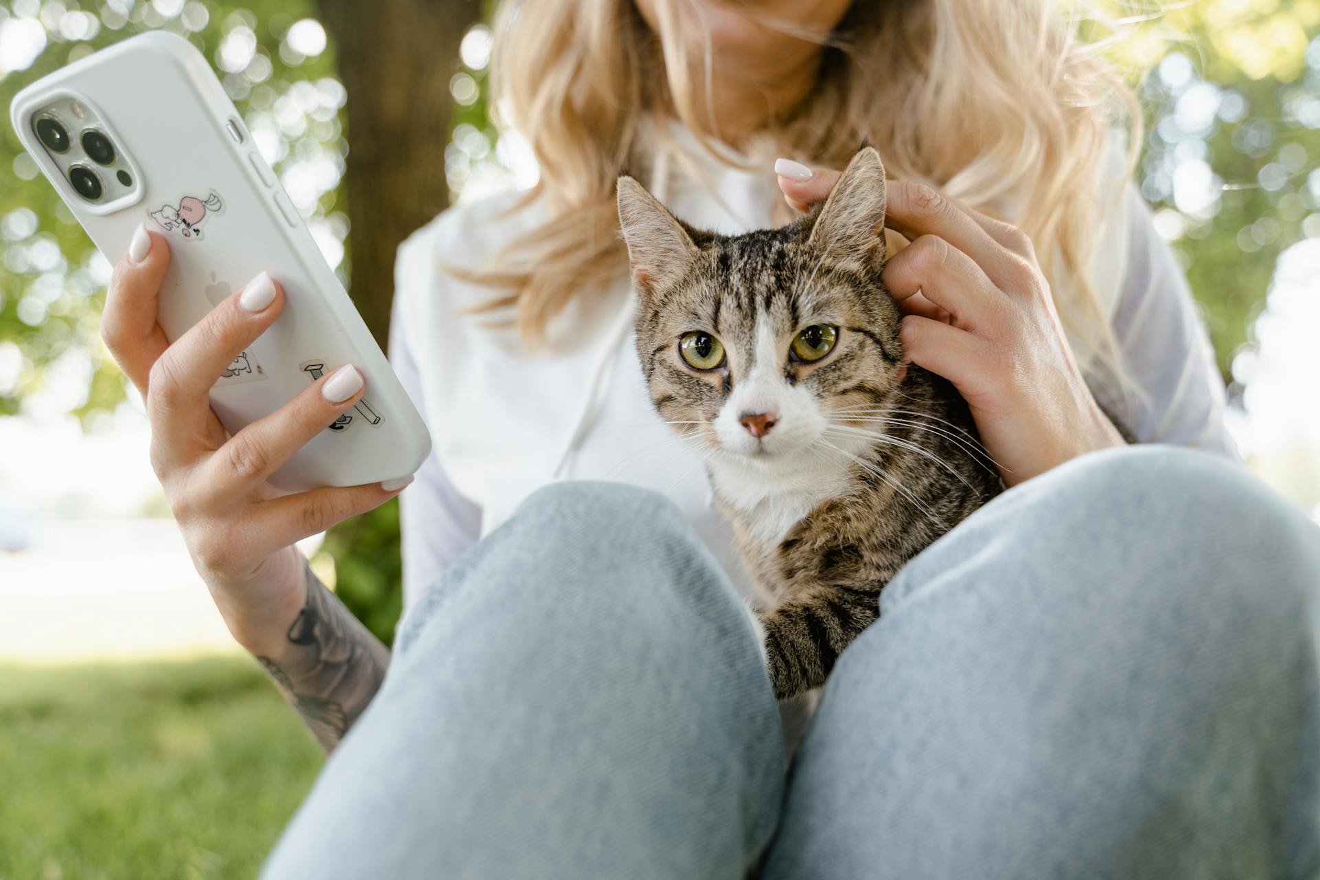 A close-up shot of a woman using her smartphone while holding her cat | Source: Pexels