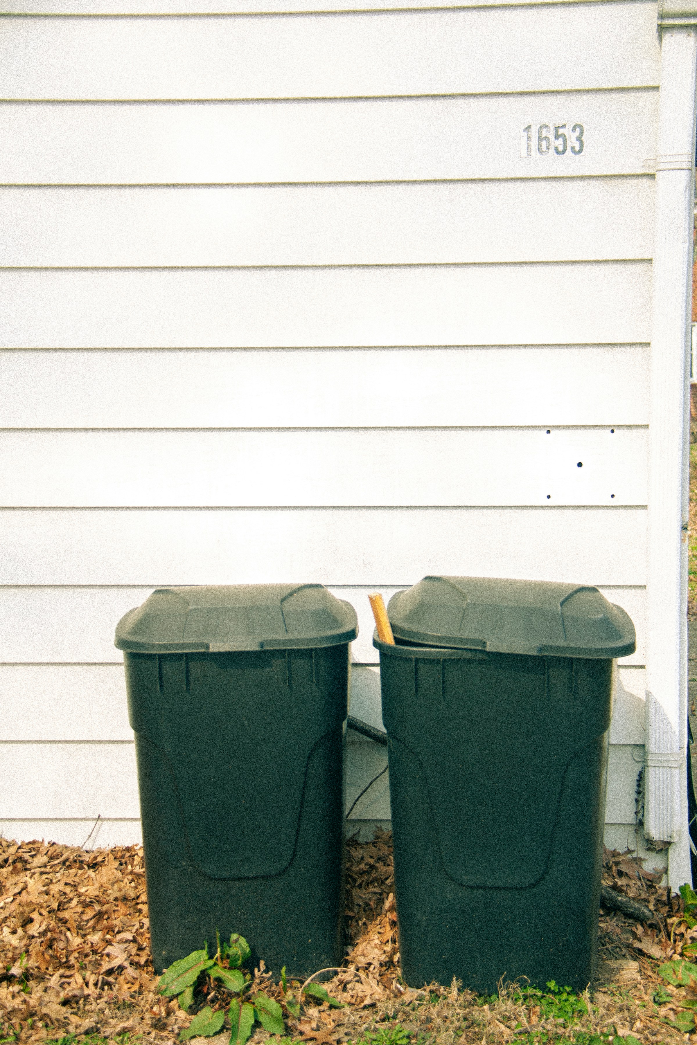 Trash bins beside a house | Source: Unsplash