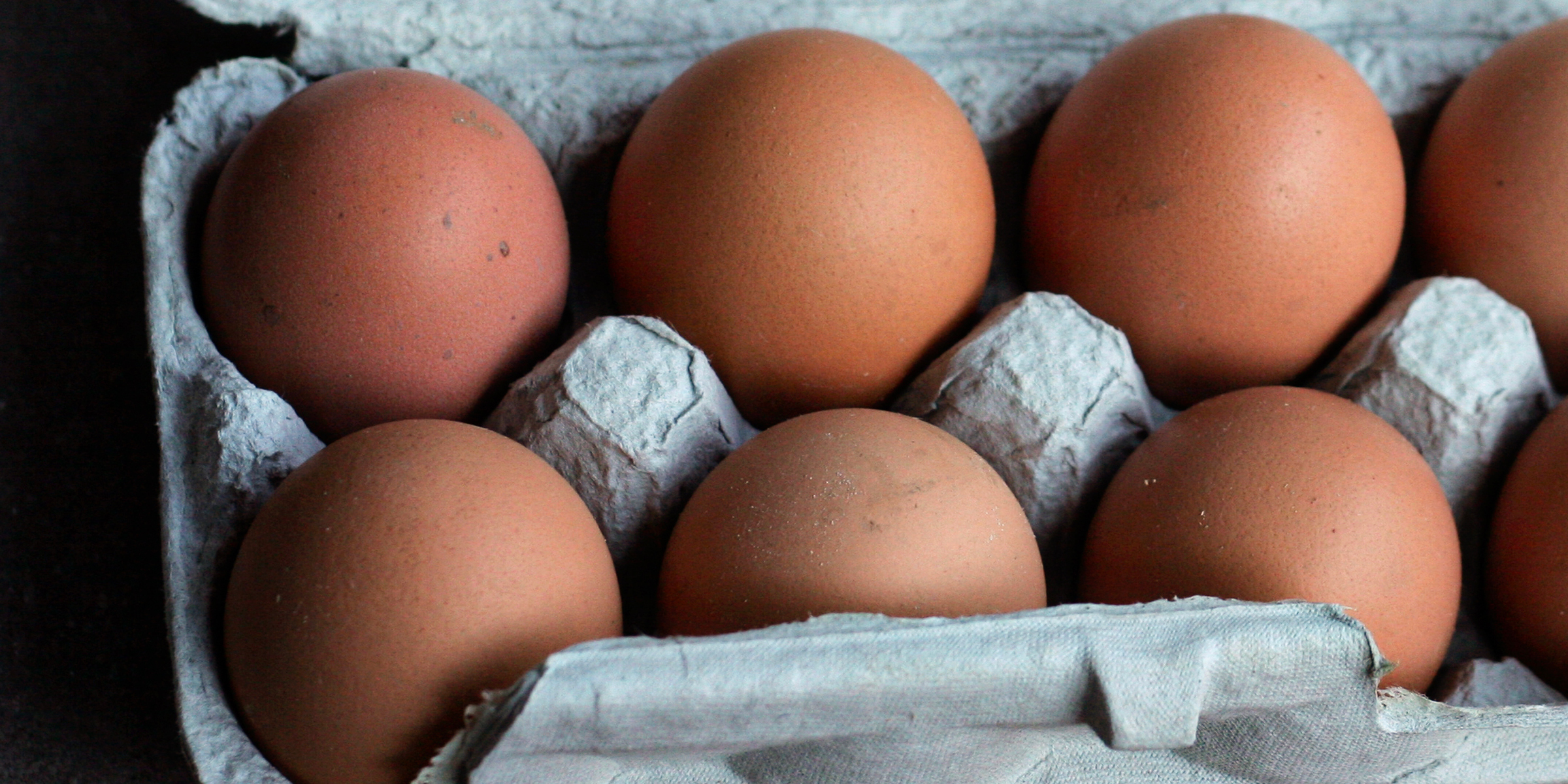 A carton of eggs | Source: Flickr