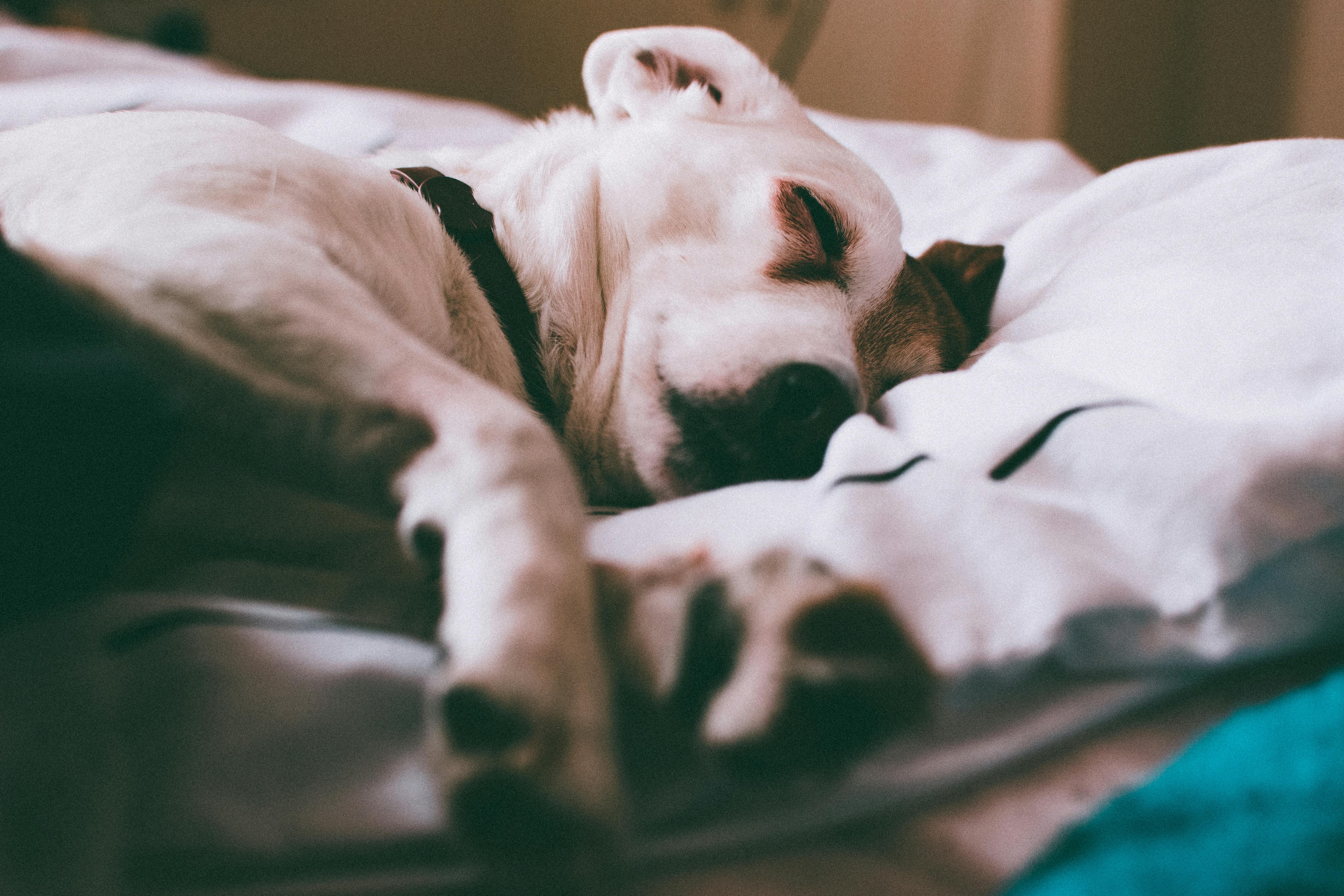 For illustration purposes only. | Source: Pexels