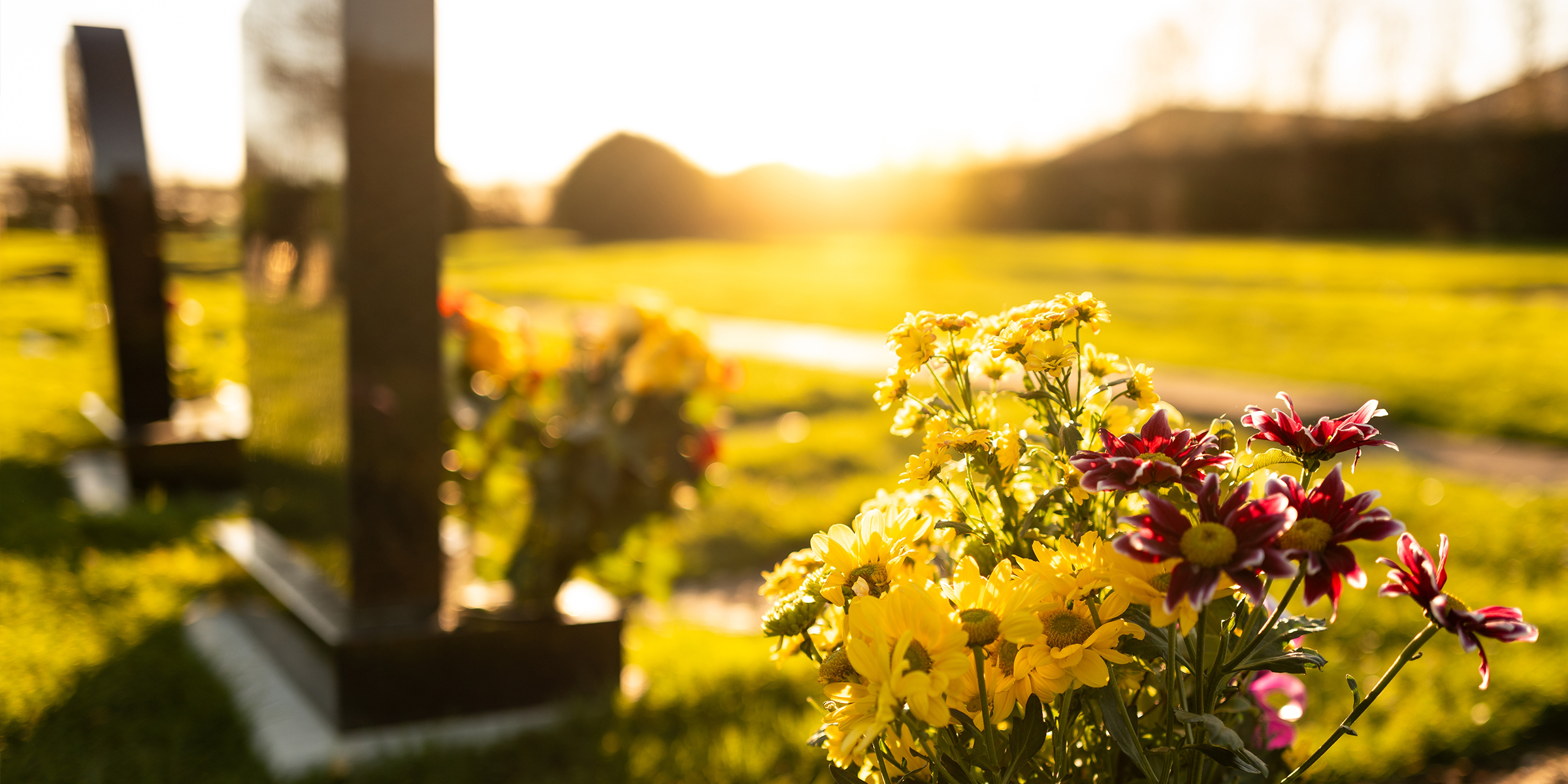 A sunset on a cemetery | Source: Shutterstock