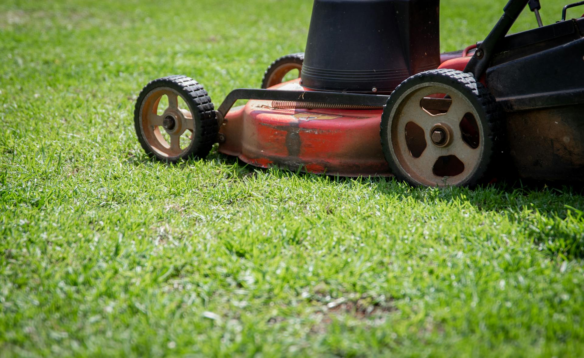 A close-up shot of a lawnmower | Source: Pexels