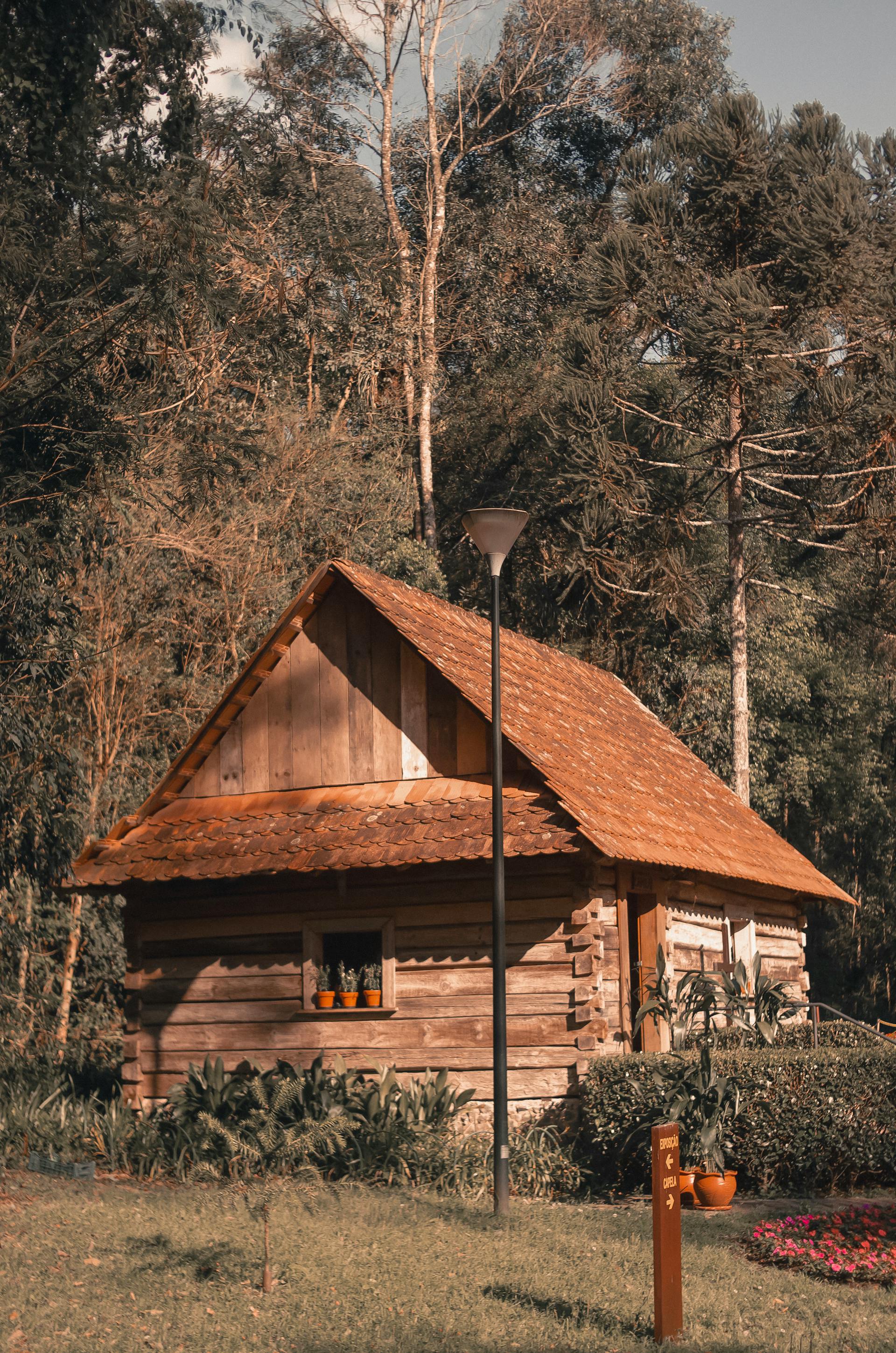 A cabin beside trees in a forest setting | Source: Pexels