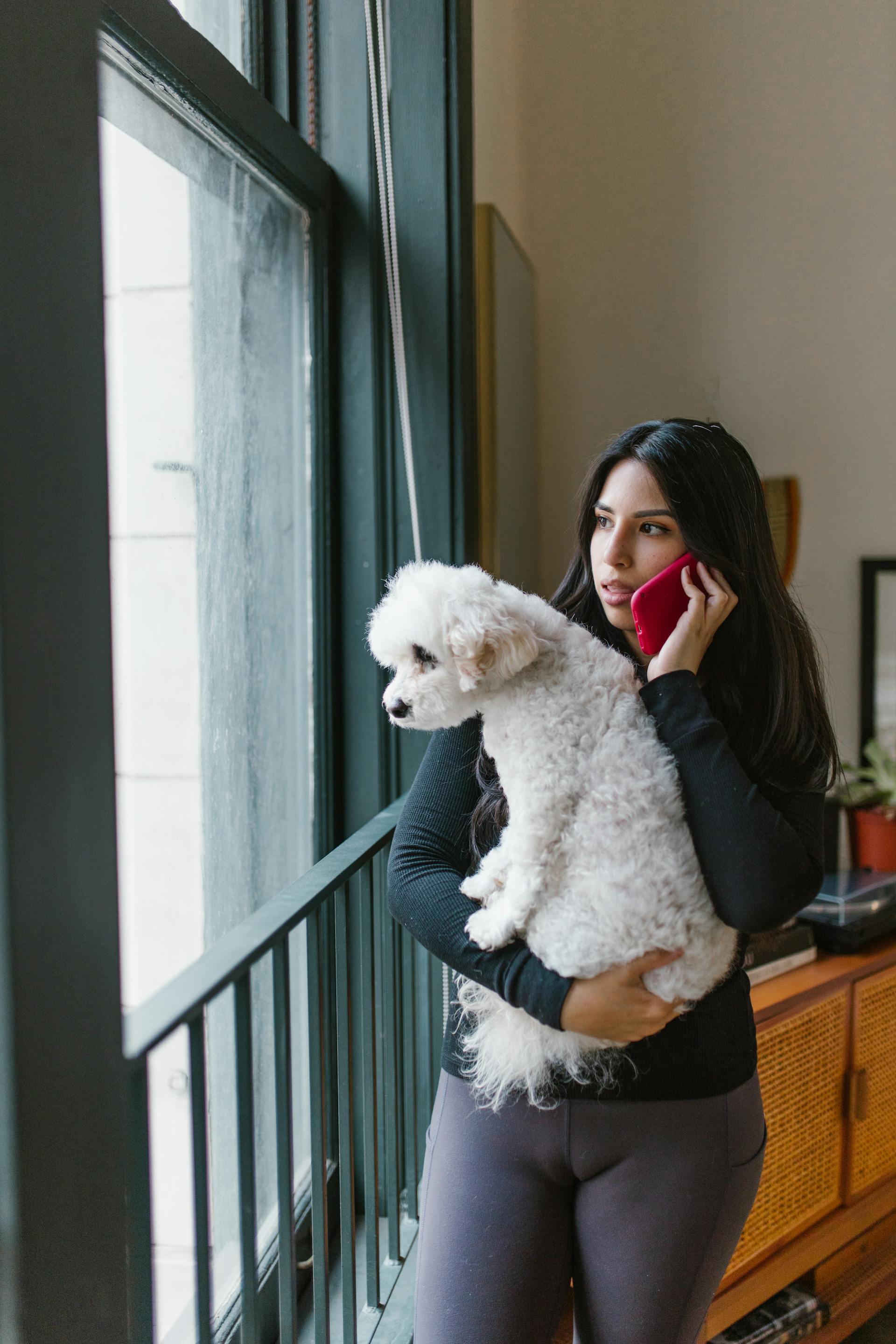 A concerned woman talking on the phone while holding her dog | Source: Pexels