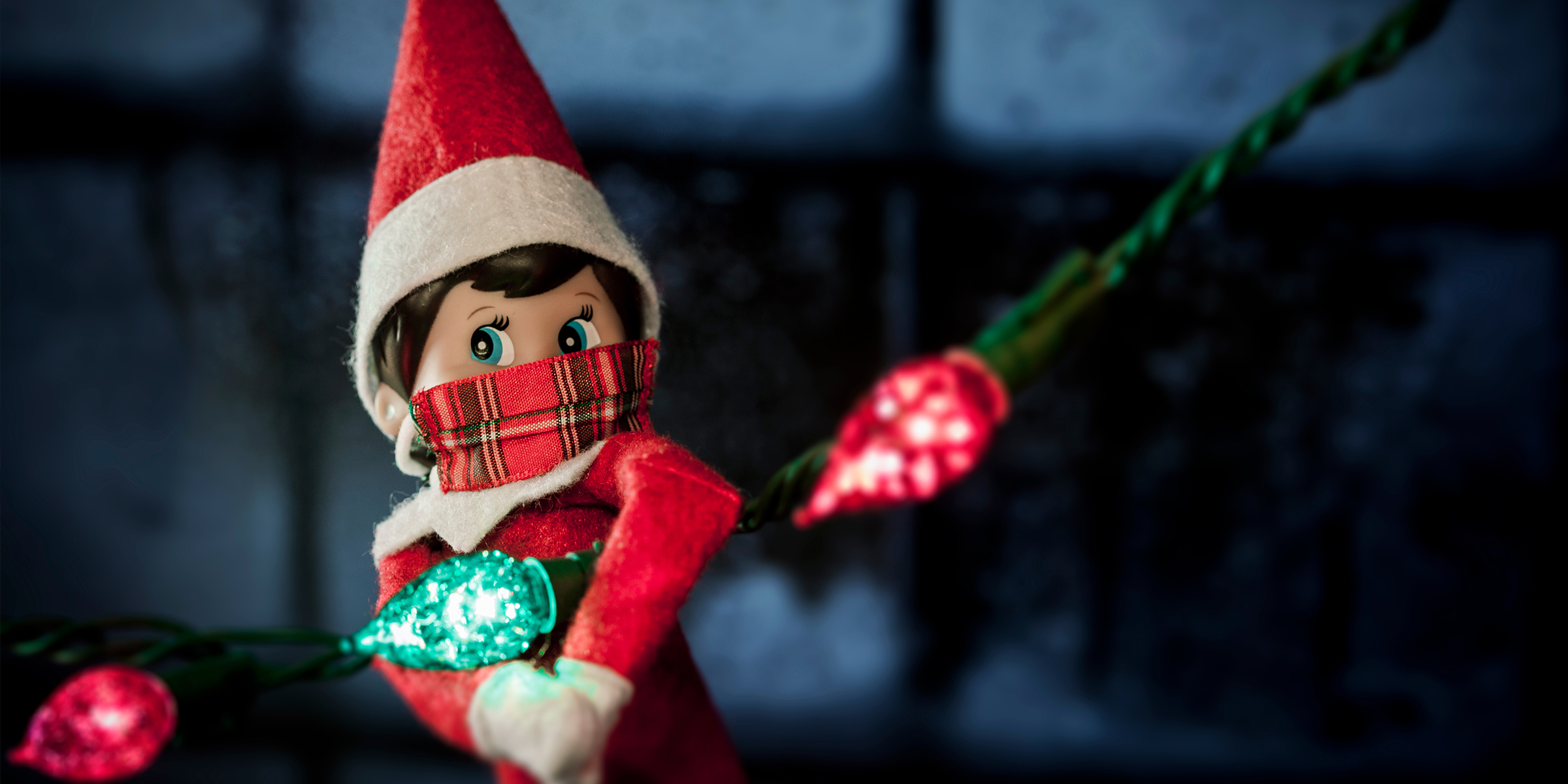 An elf holding a string of lights | Source: Shutterstock