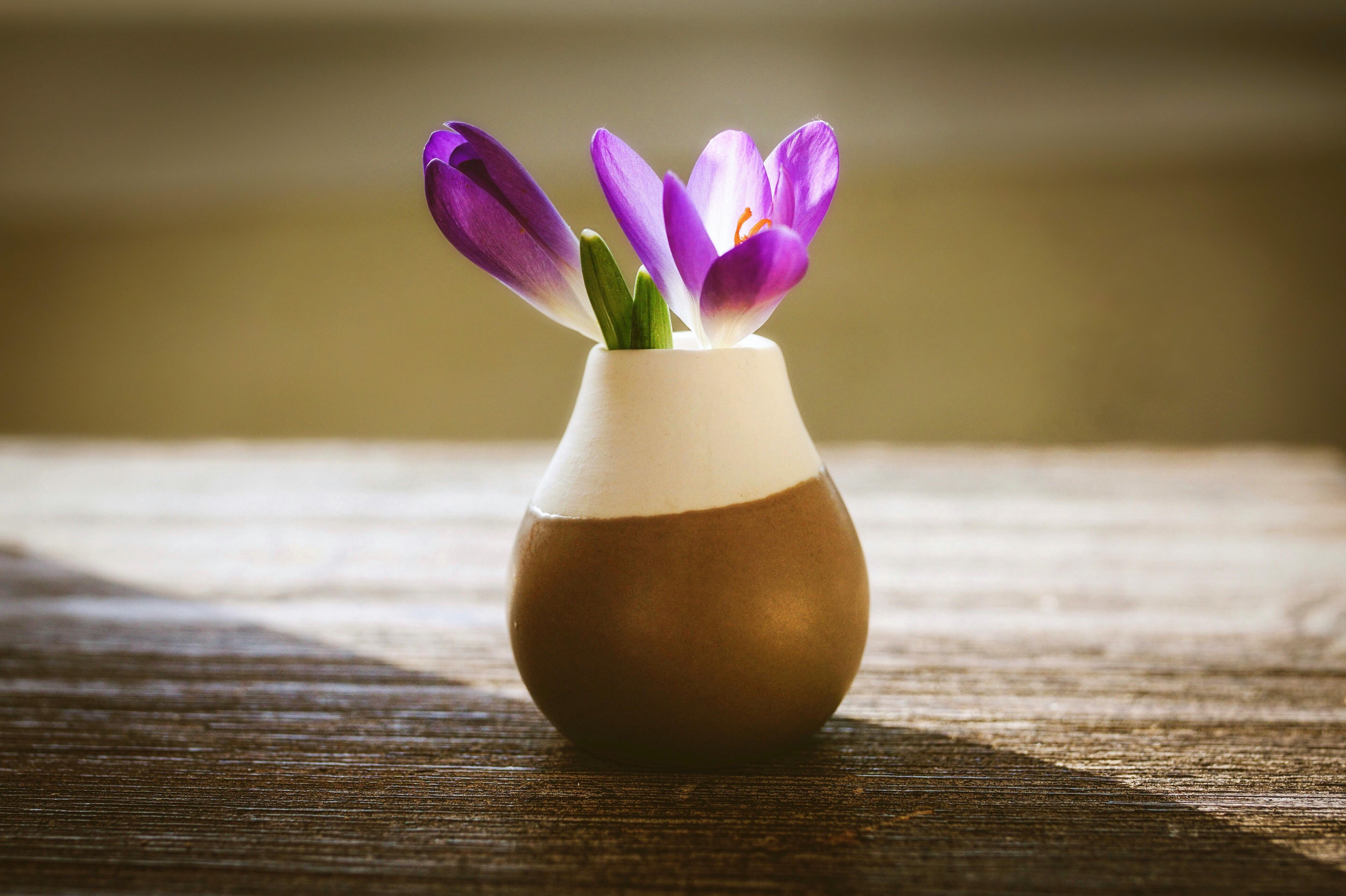 A flower vase | Source: Pexels