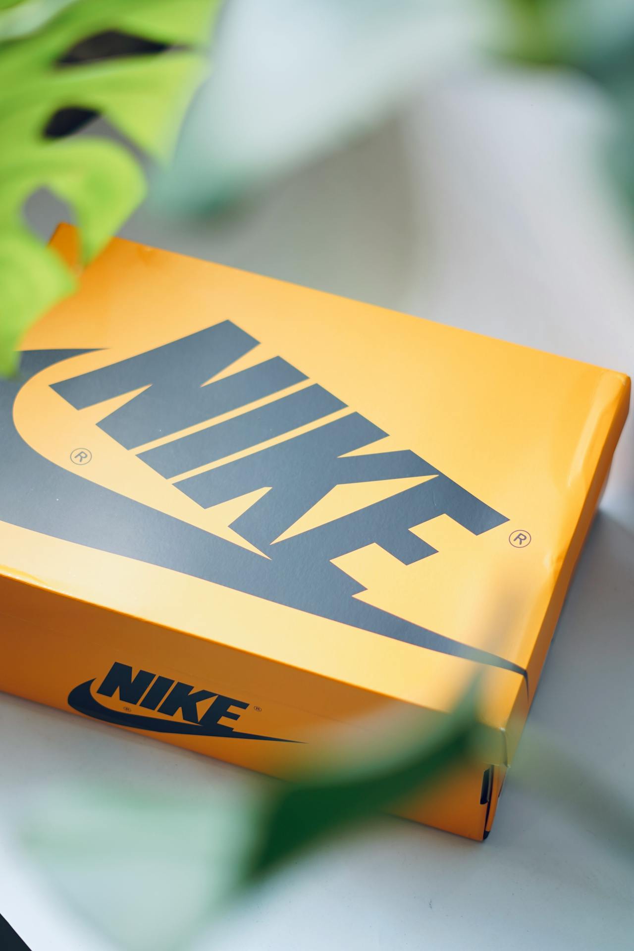 A branded shoebox | Source: Pexels