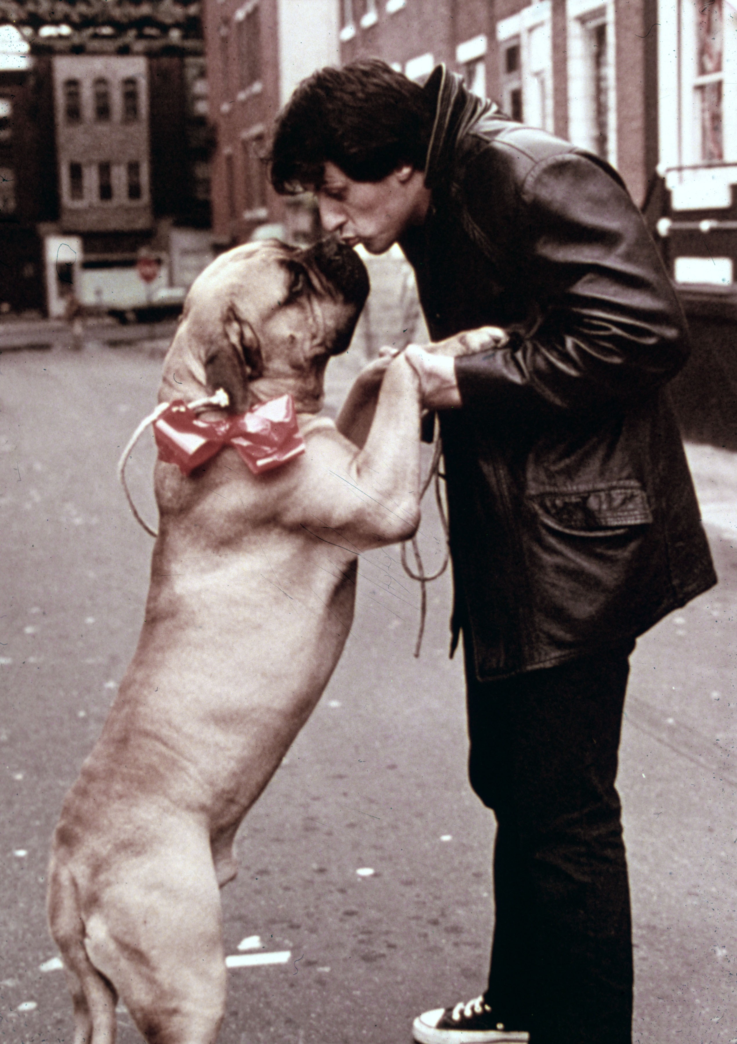 Sylvester Stallone, as Rocky Balboa, kissing a dog in a still from the film "Rocky," circa 1976 | Source: Getty Images