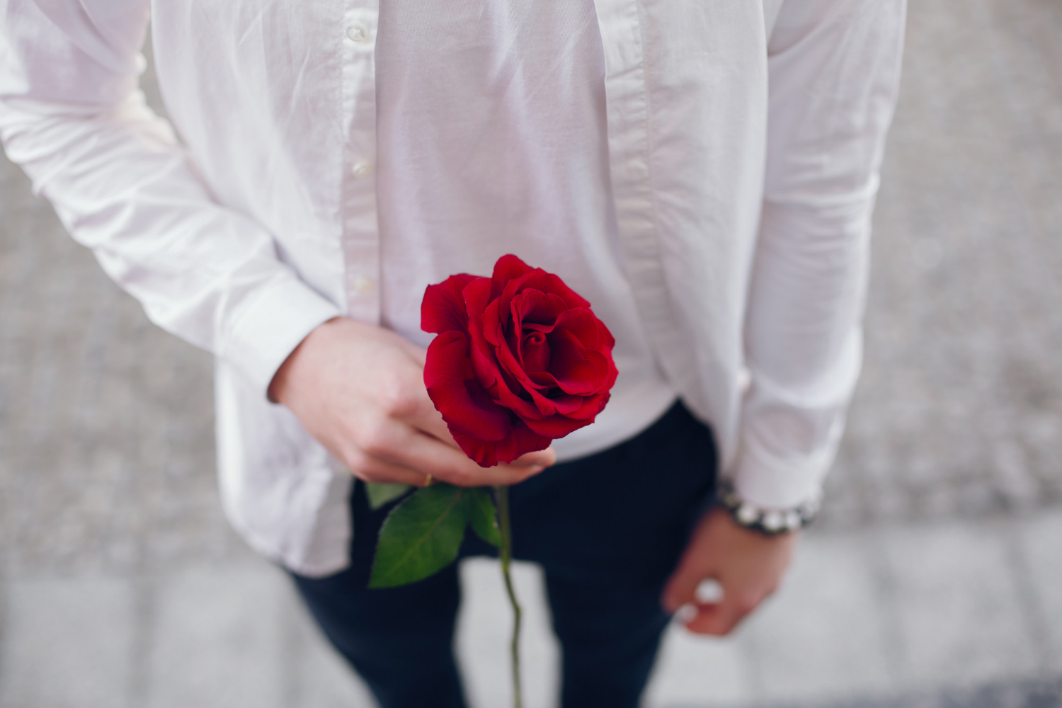 A young man holding a red rose stem | Source: Freepik
