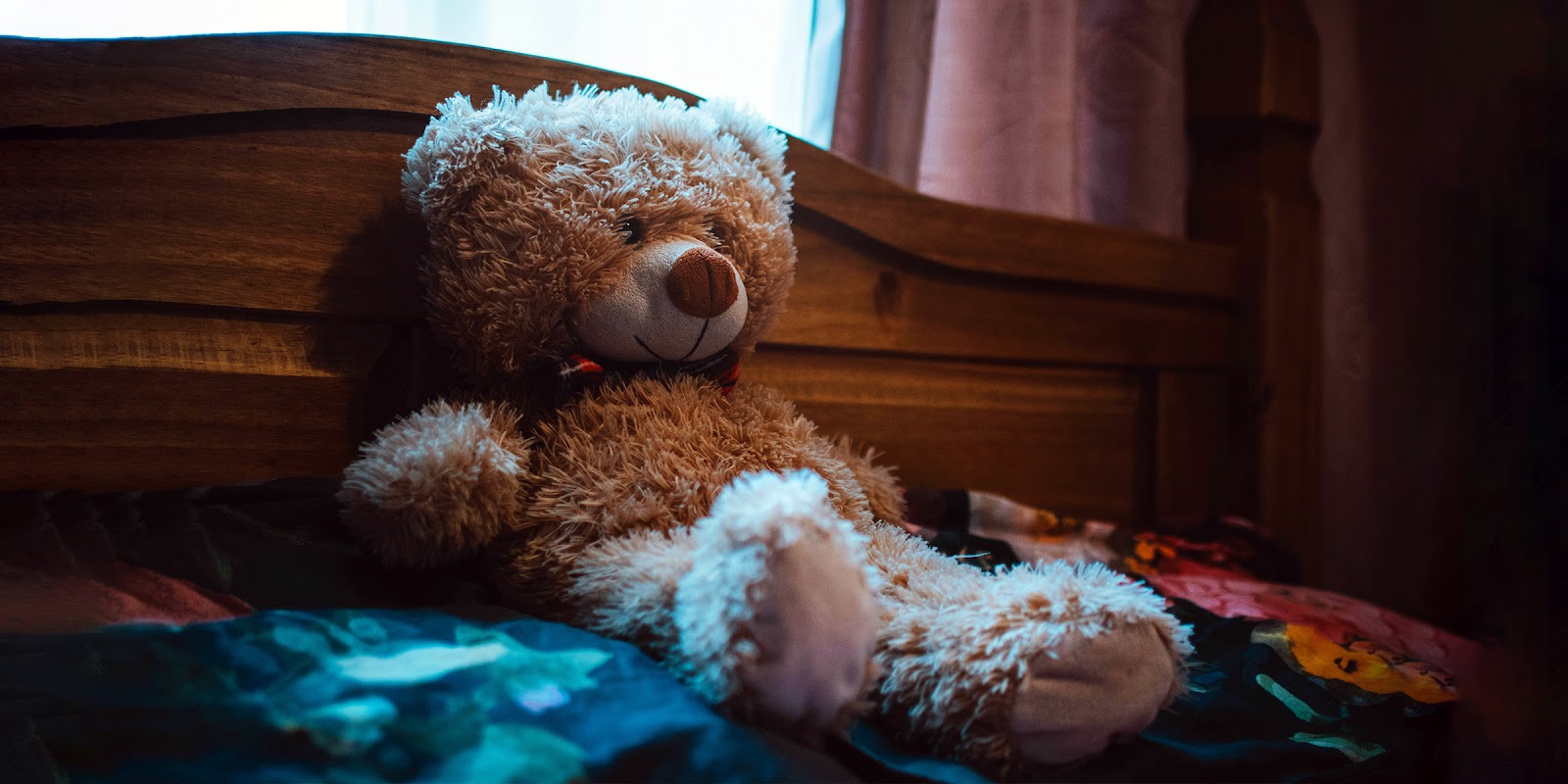 A teddy bear | Source: Pexels