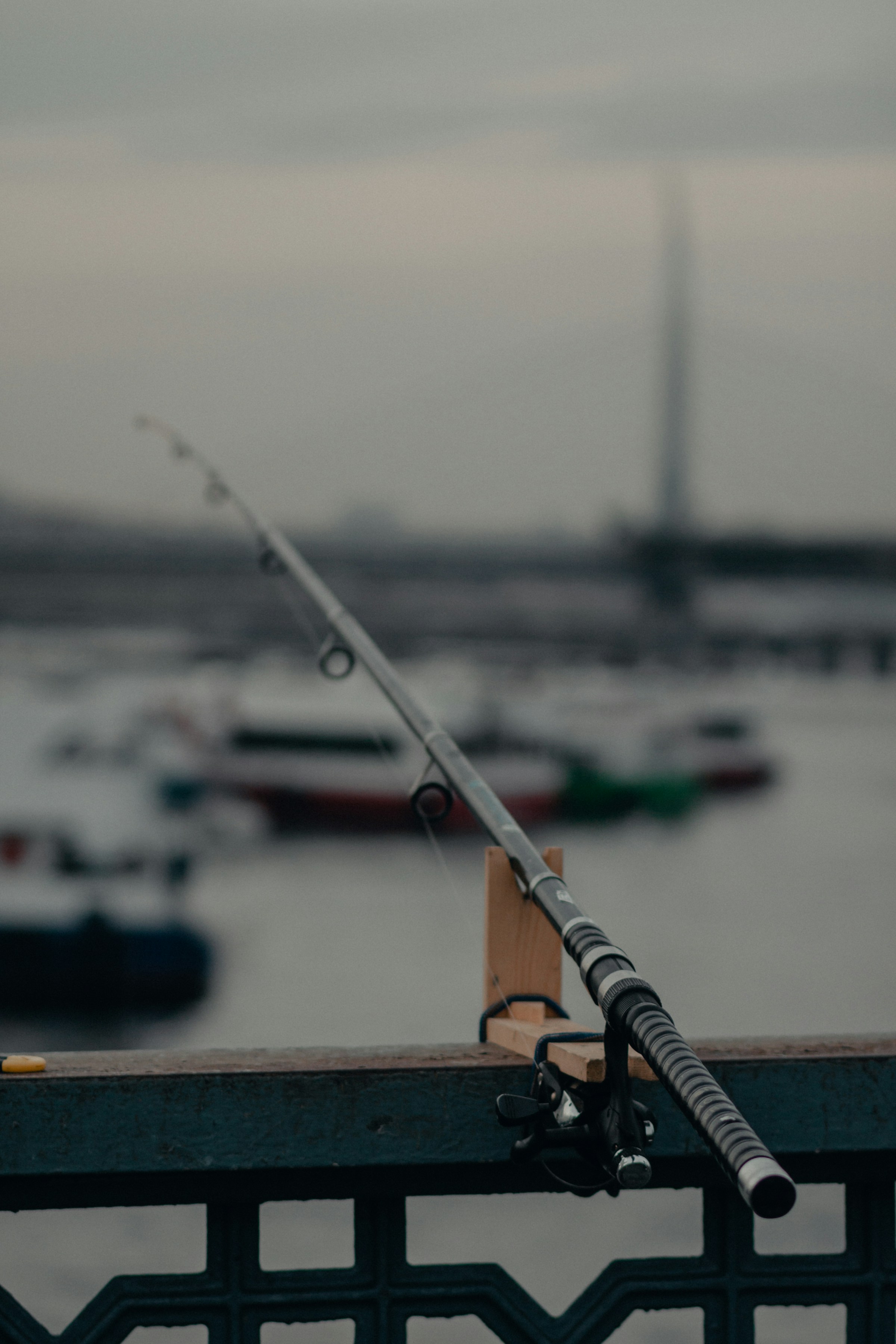 Vara de pesca | Fonte: Unsplash