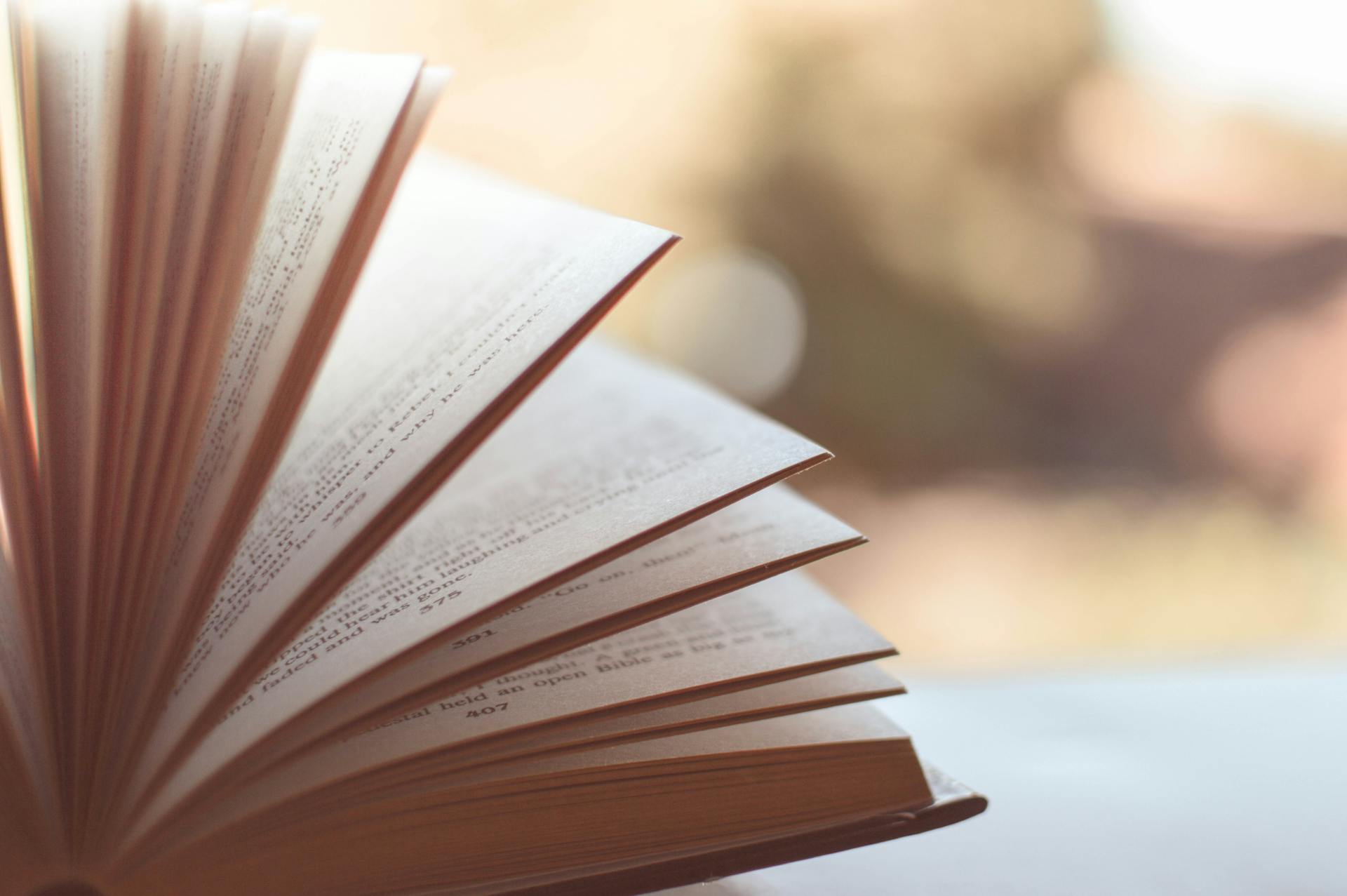 Un livre ouvert | Source : Pexels