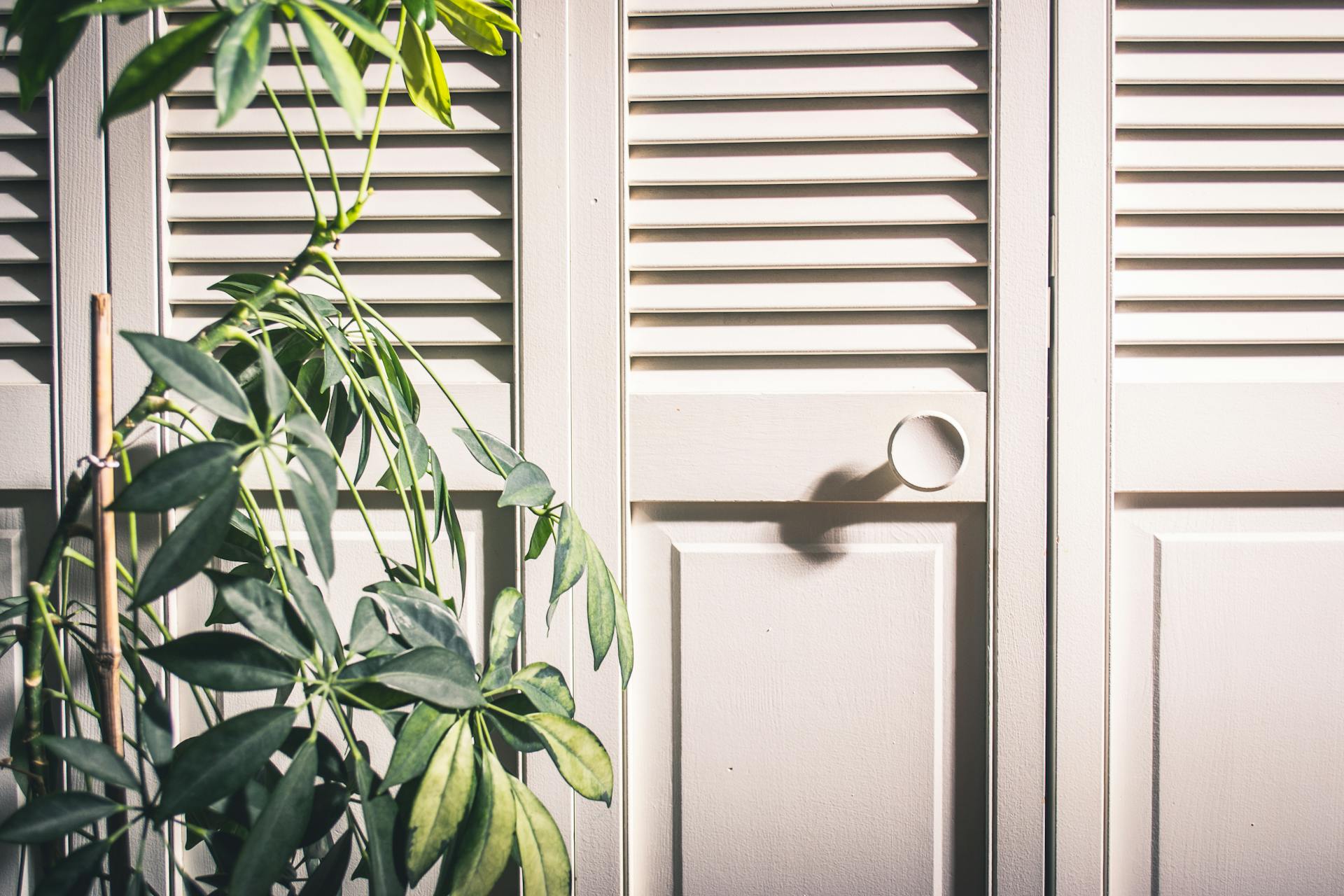 Closet doors | Source: Pexels