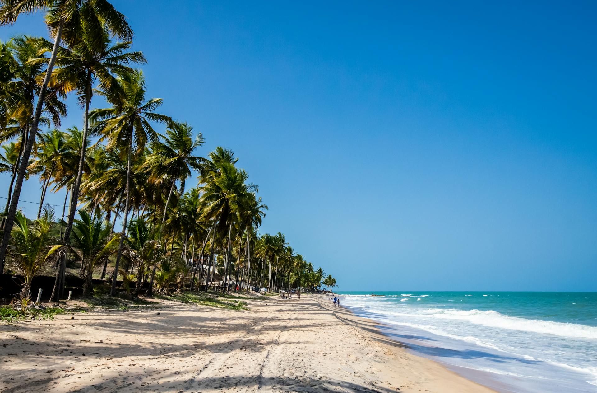 A beach | Source: Pexels