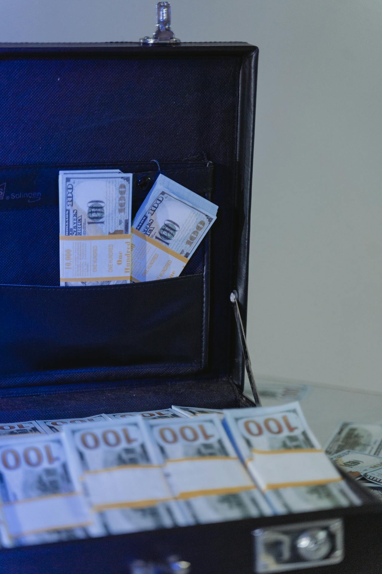 Dollar bills in a briefcase | Source: Pexels