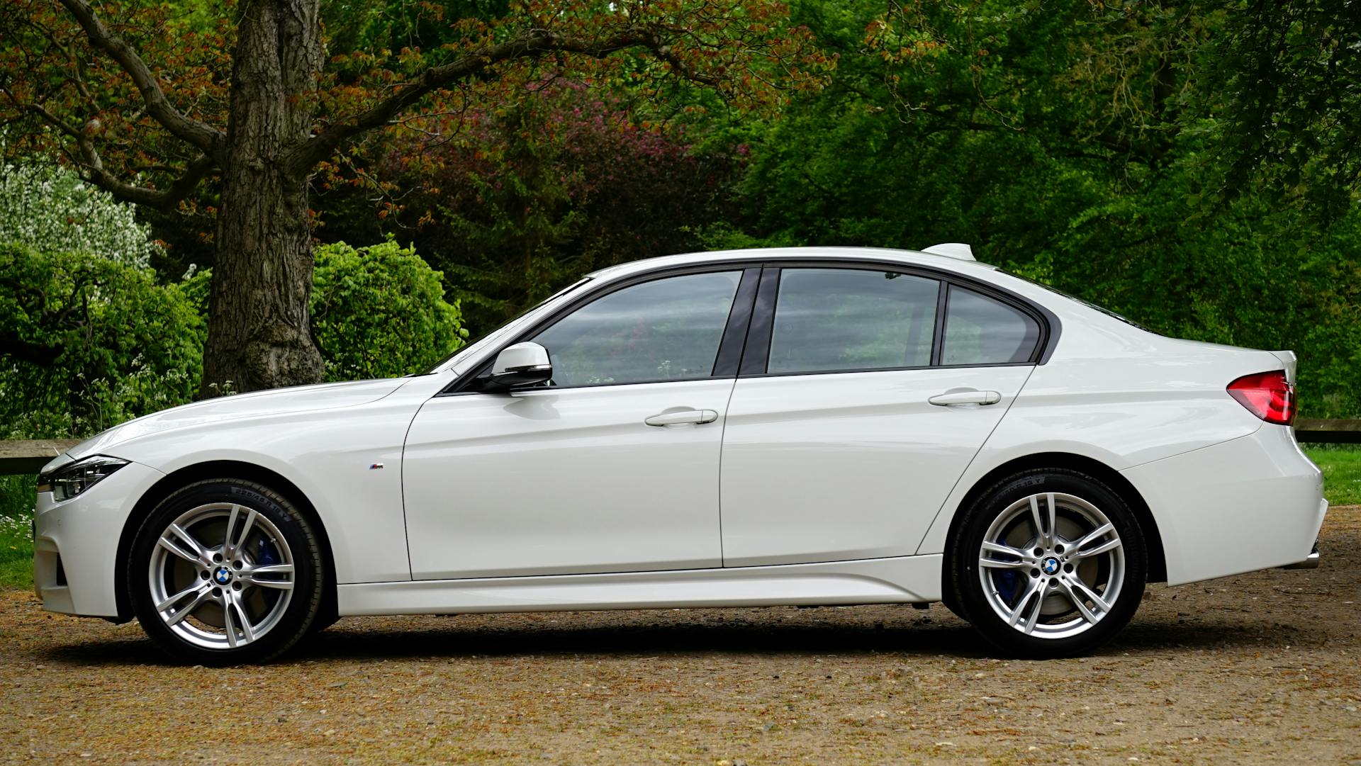 A white car parked beside a tree | Source: Pexels