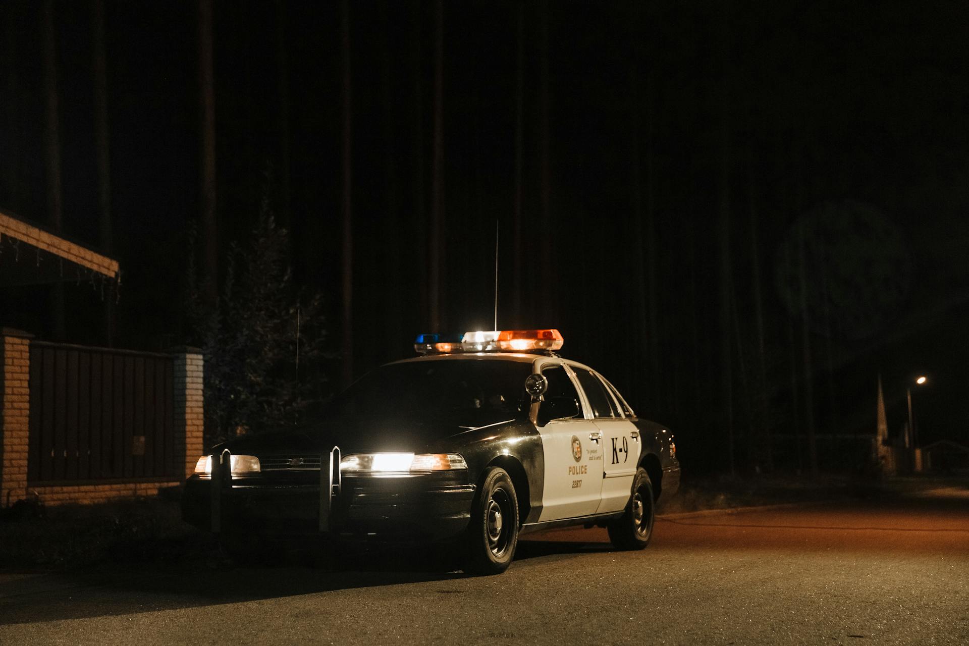 A police car at night | Source: Pexels