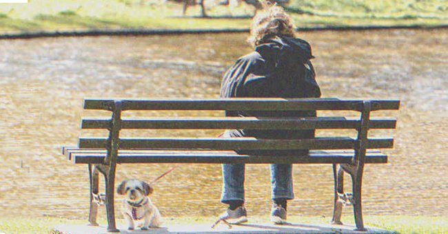 A woman sitting on a bench holding the leash of a dog | Source: Shutterstock