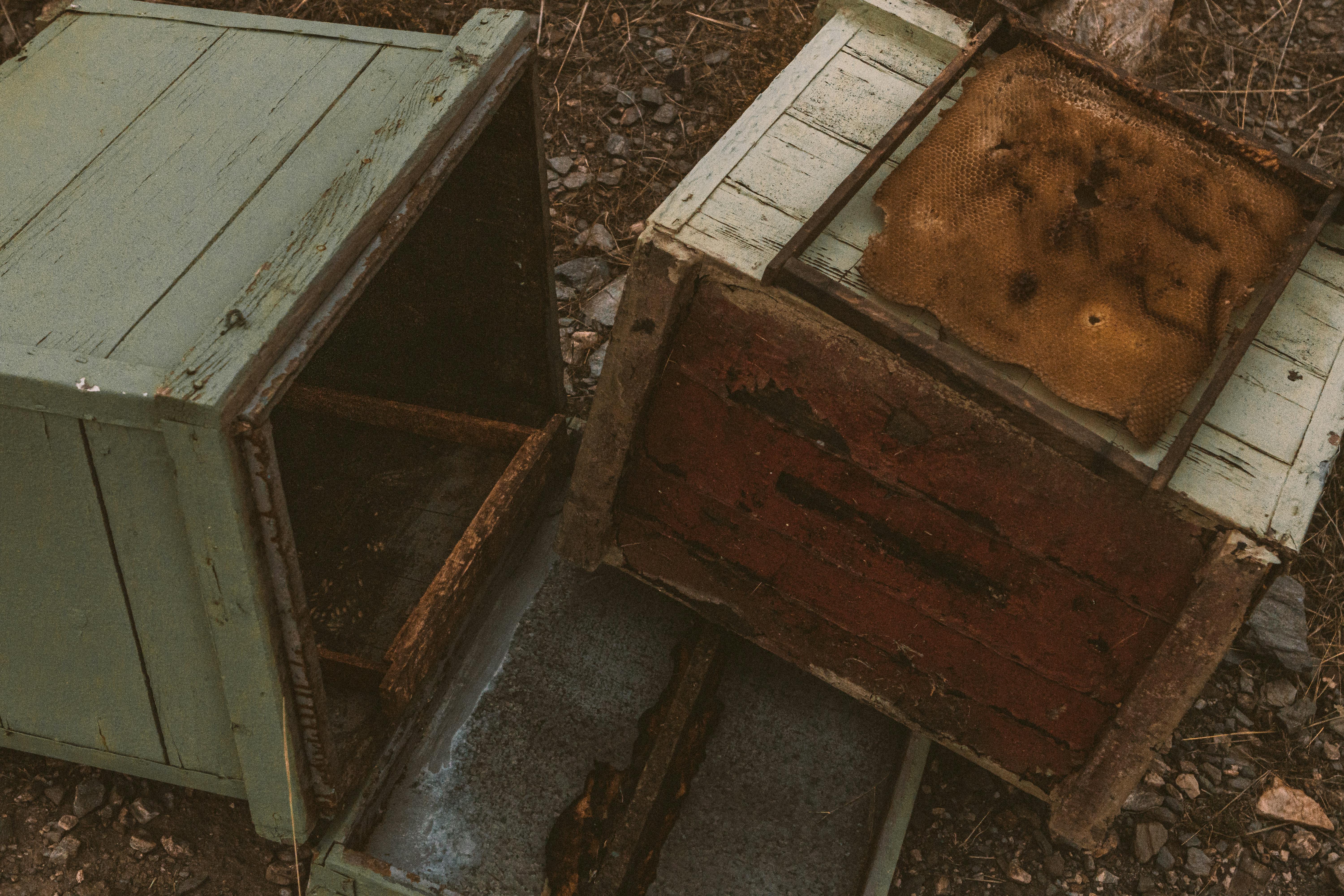 Beehives on the ground | Source: Pexels