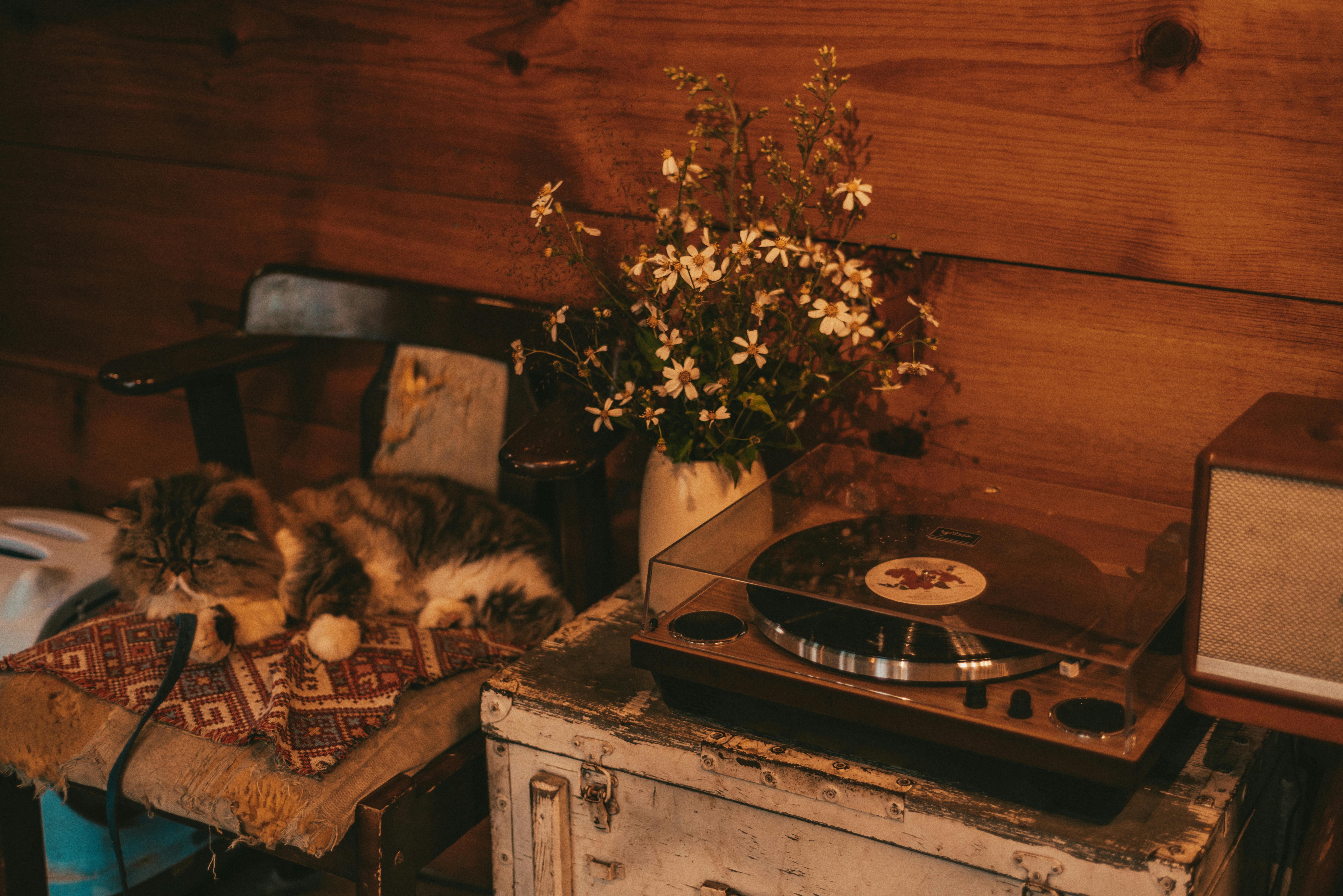 For illustration purposes only | Source: Pexels