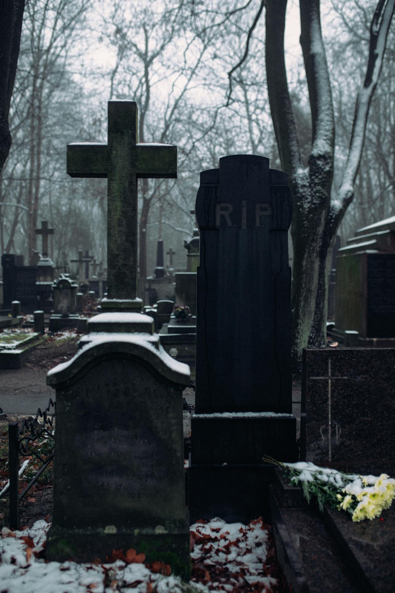 A cemetery | Source: Pexels