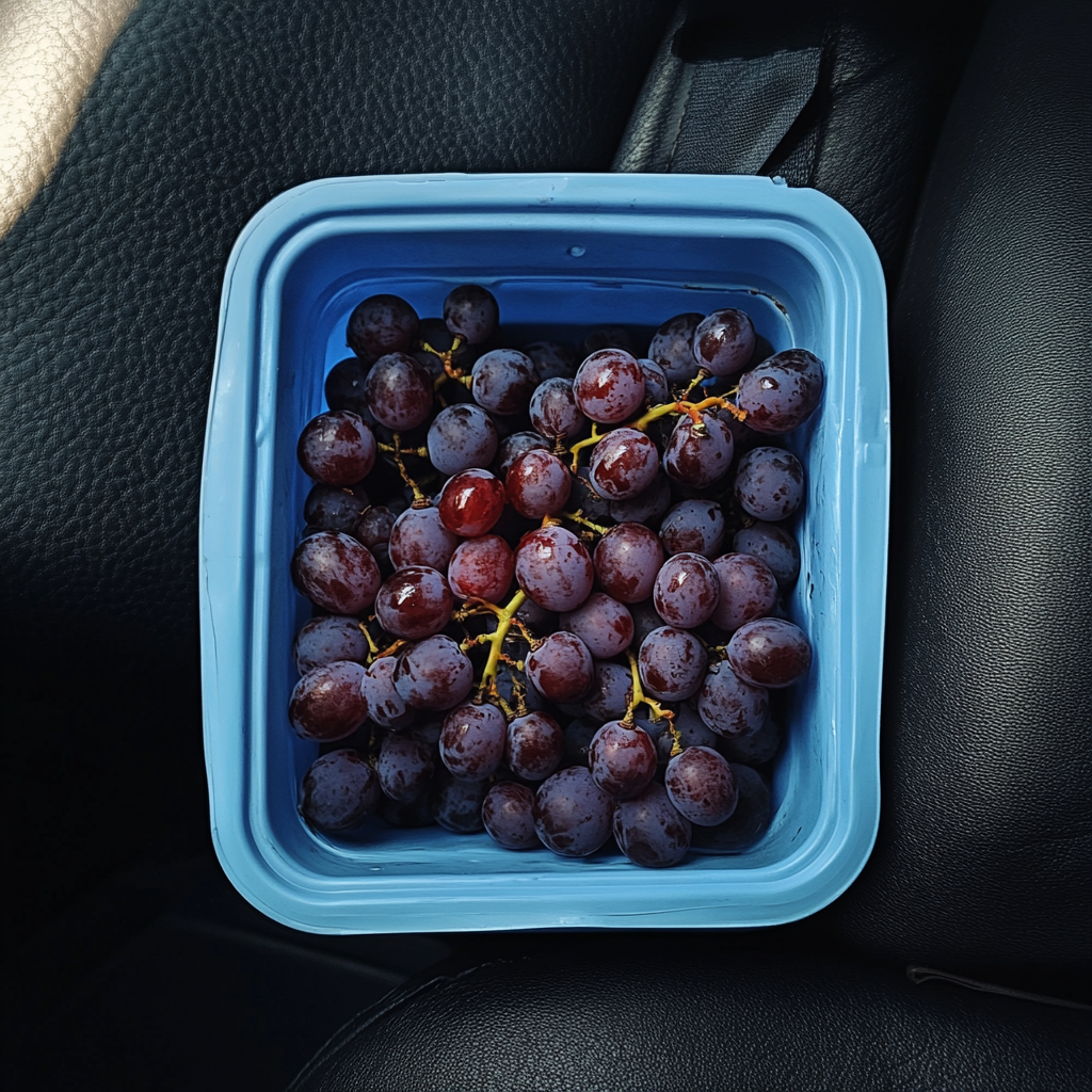A container of grapes in a car | Source: Midjourney
