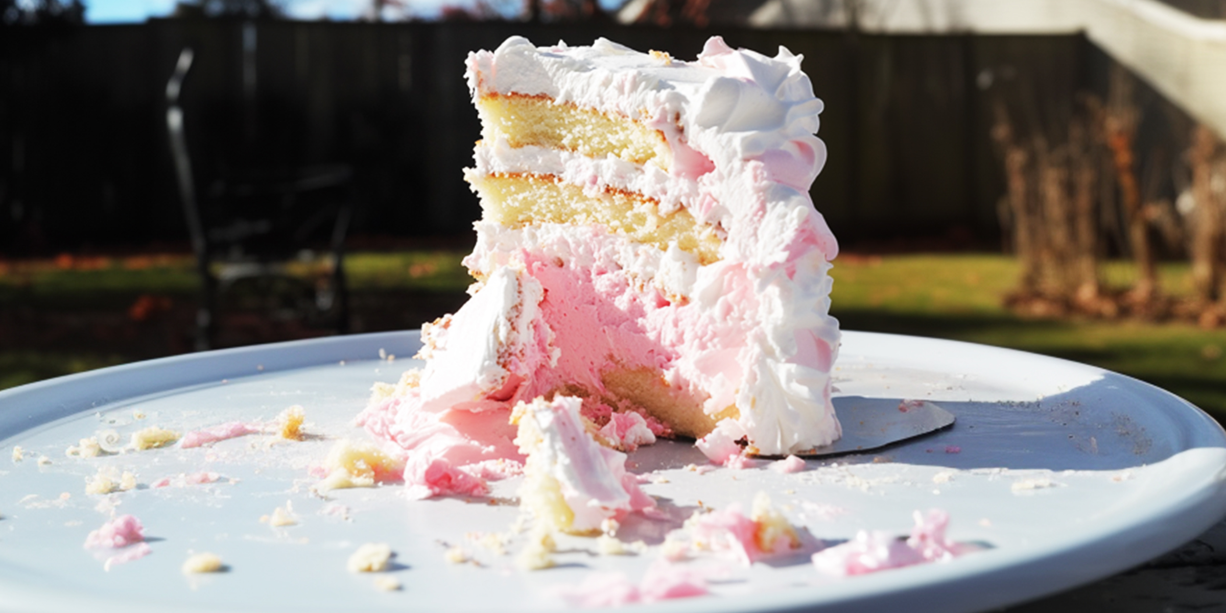 A slice of partially eaten cake | Source: Amomama