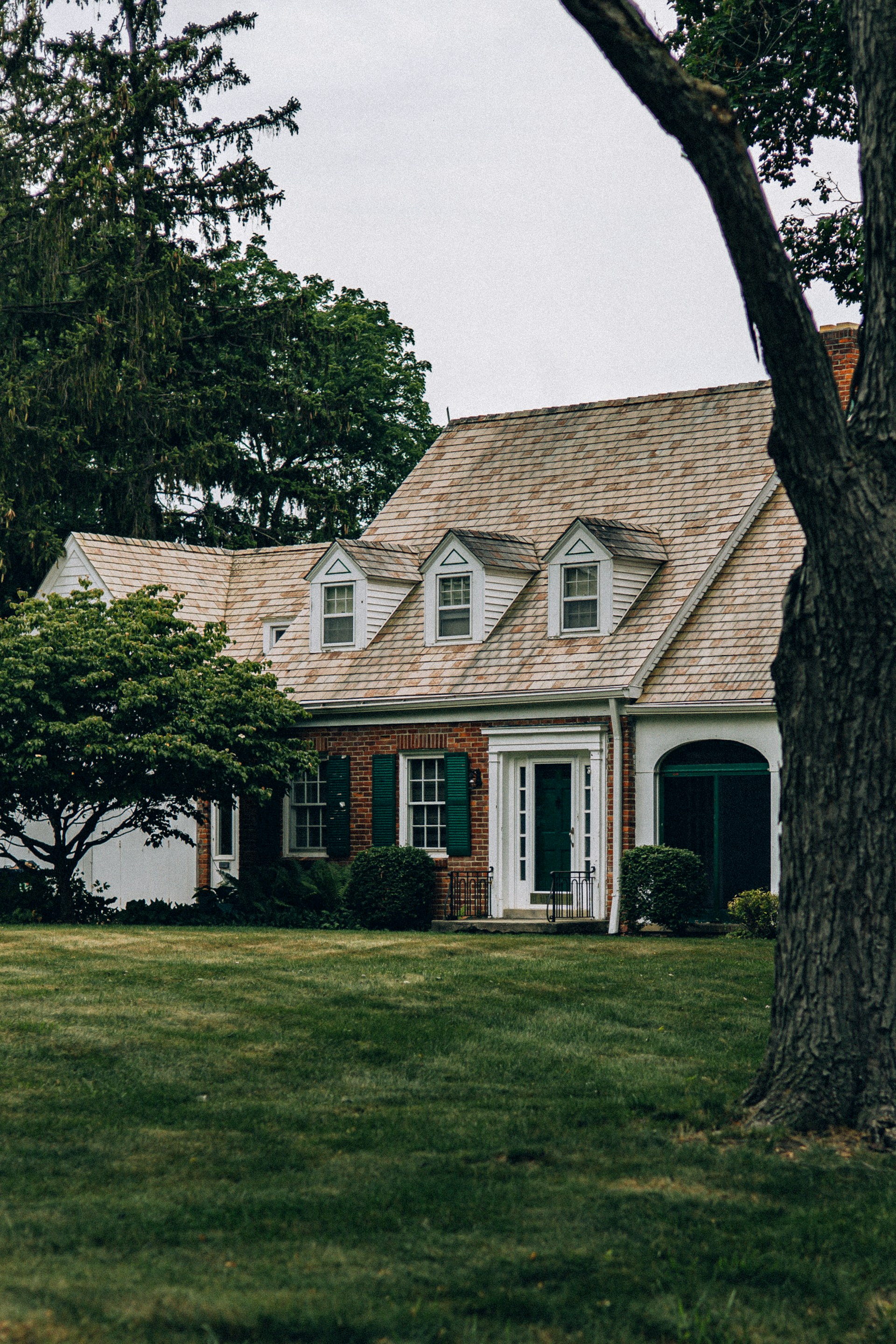 A house with spacious yard and trees | Source: Unsplash