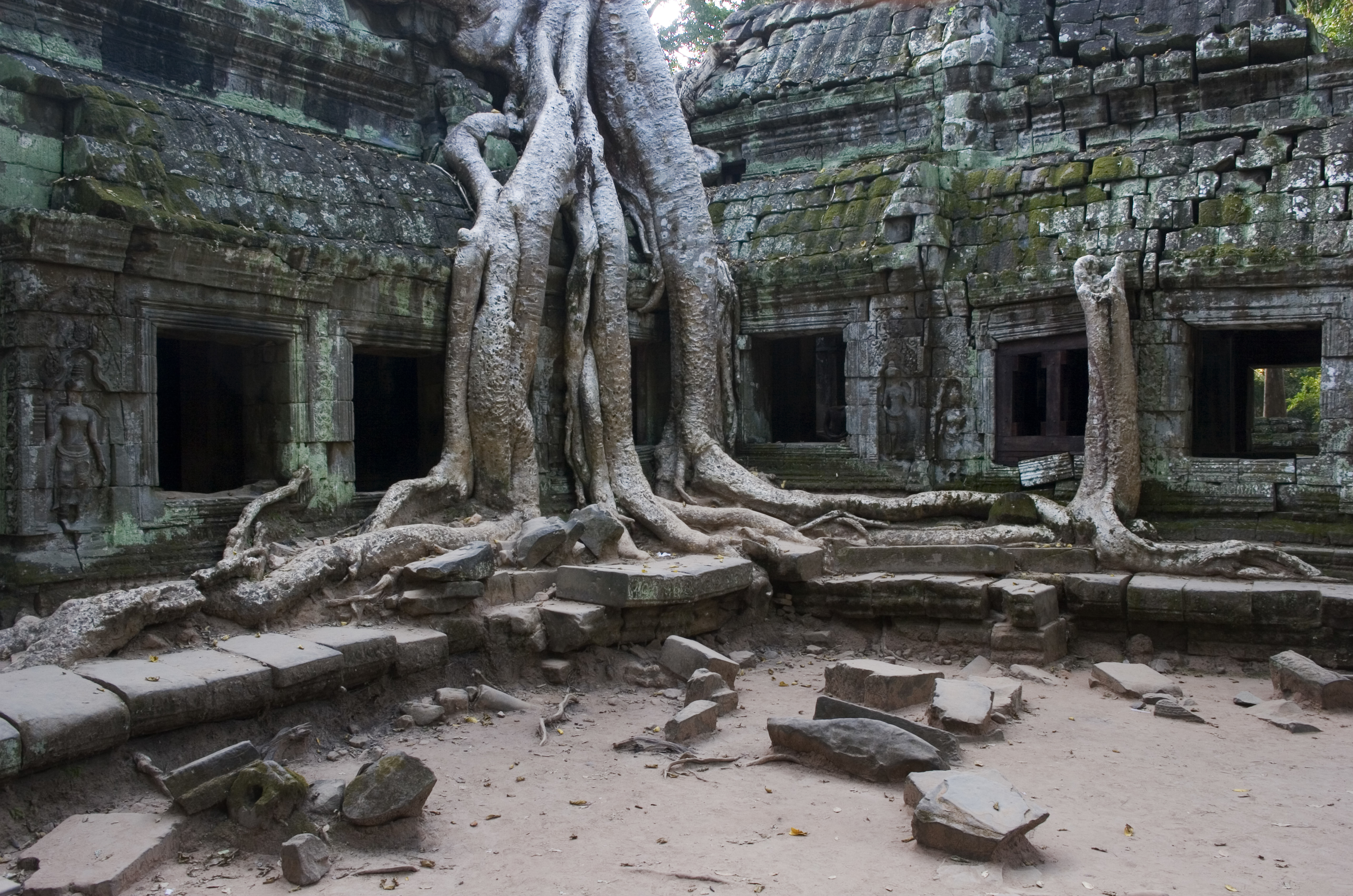 The temple of Ta Prohm in Siem Reap, Cambodia, one of the locations for the film, "Lara Croft: Tomb Raider" | Source: Getty Images