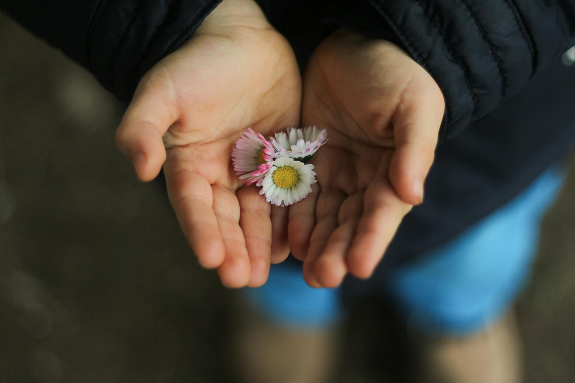 A child holding flowers | Source: Pexels