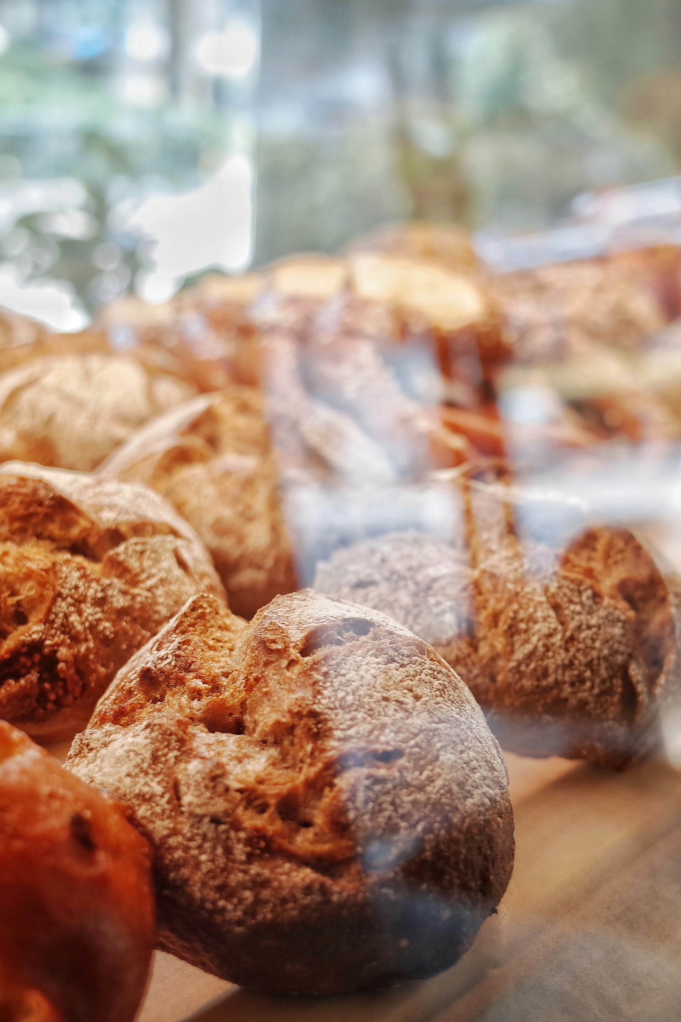 A close-up view of bread rolls on display in a bakery | Source: Unsplash