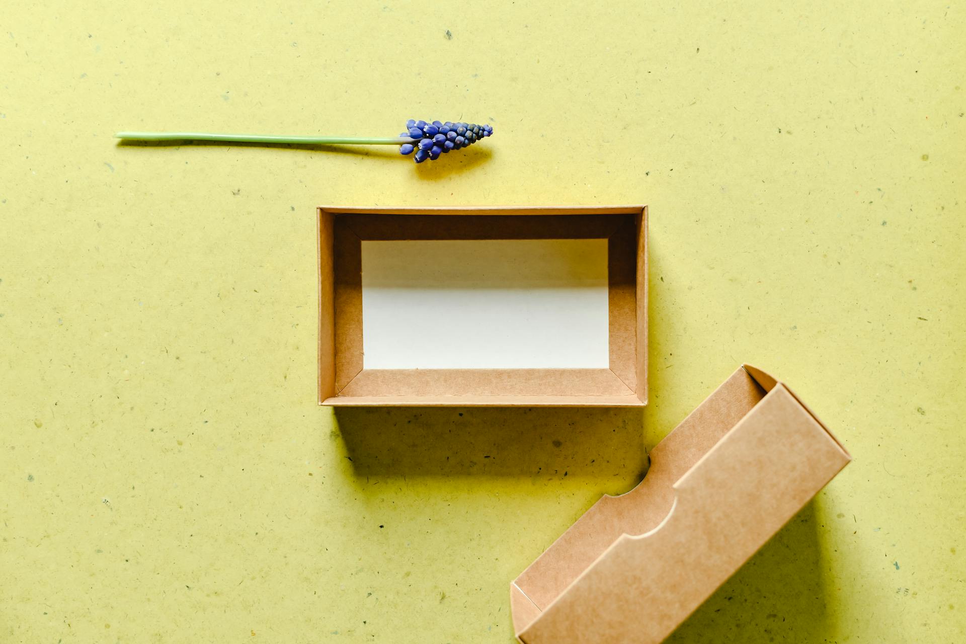 An empty cardboard box | Source: Pexels