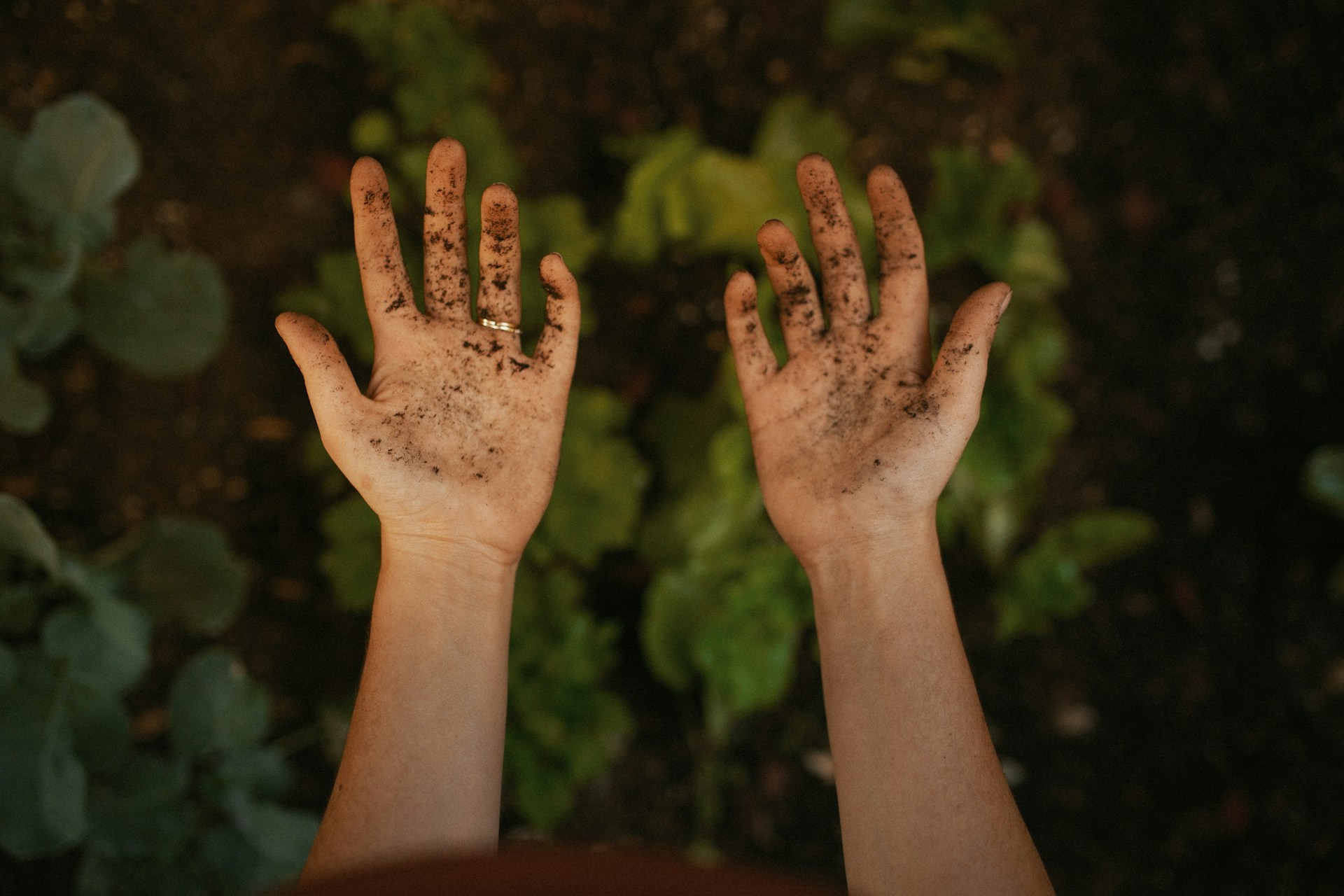 A person flaunting their soiled hands | Source: Unsplash