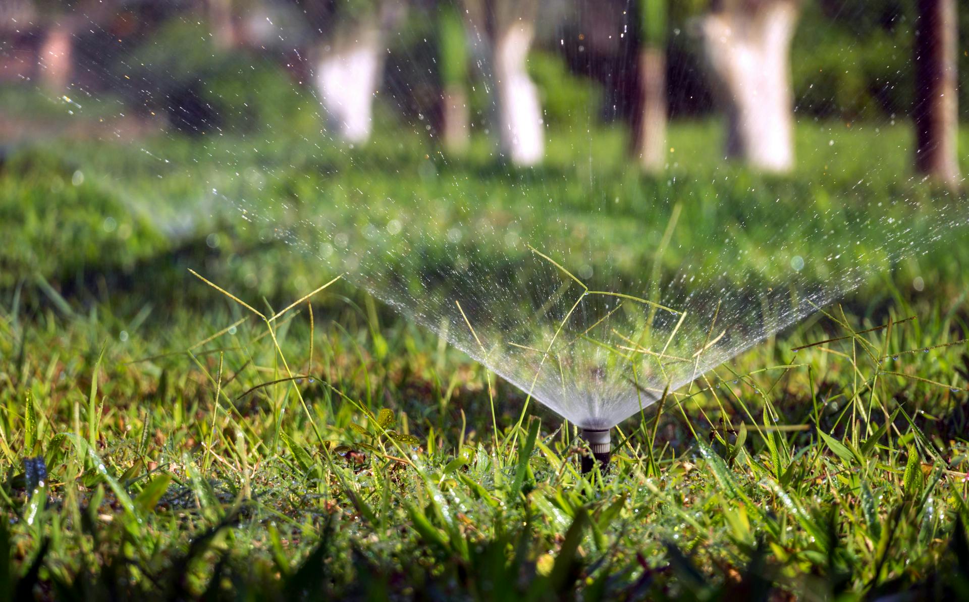 A close-up shot of a sprinkler | Source: Pexels