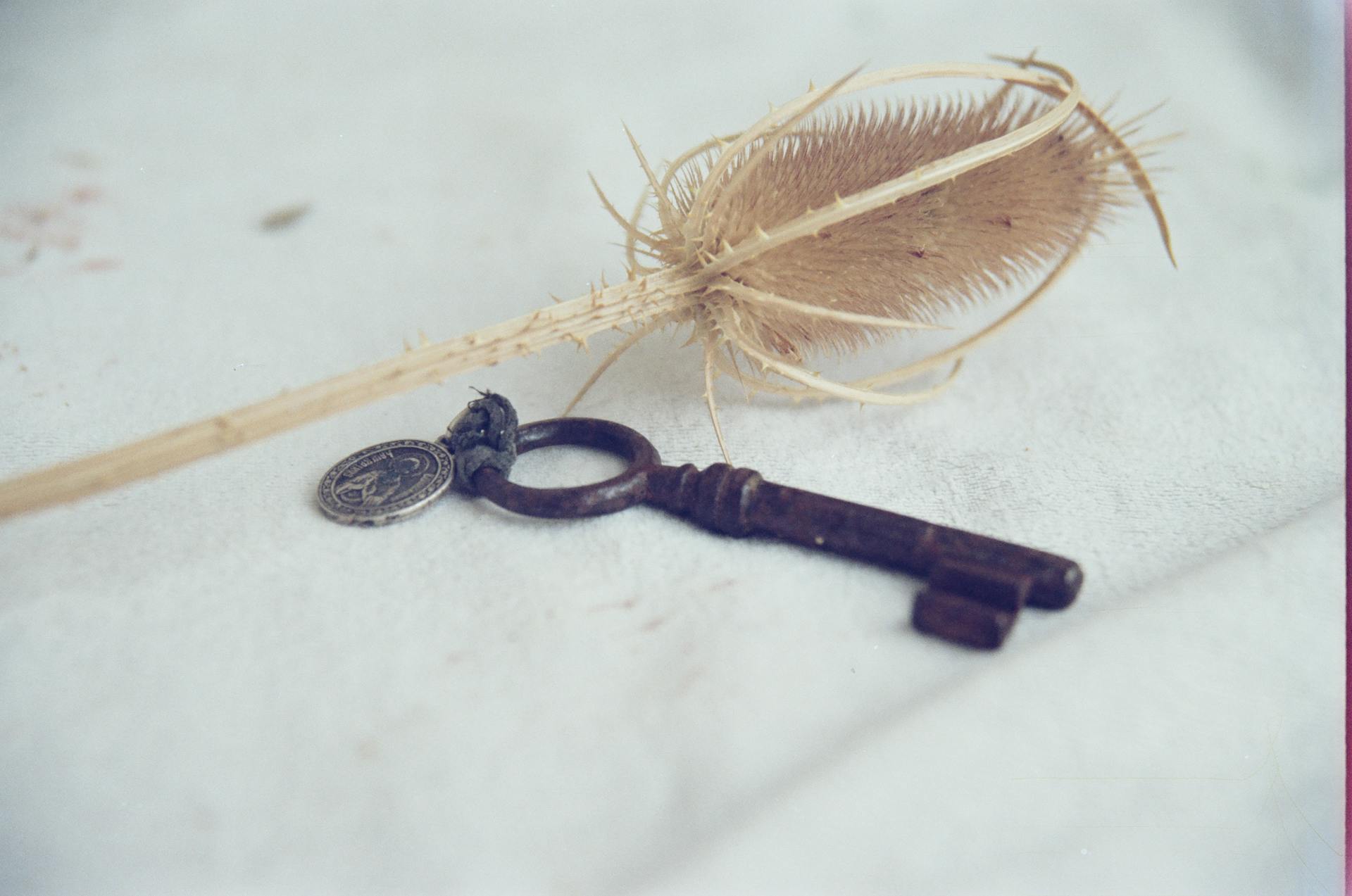 A rusty key | Source: Pexels
