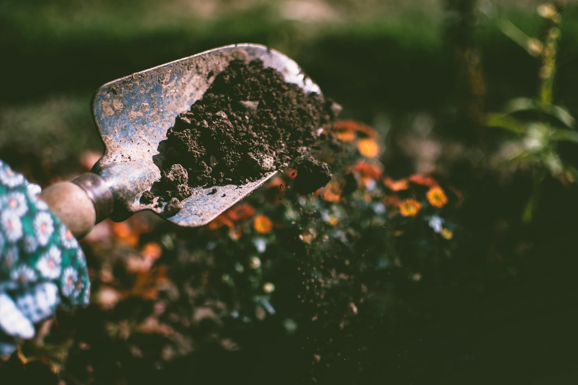 A person digging in a backyard | Source: Pexels