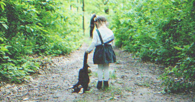 A little girl in the forest | Source: Shutterstock