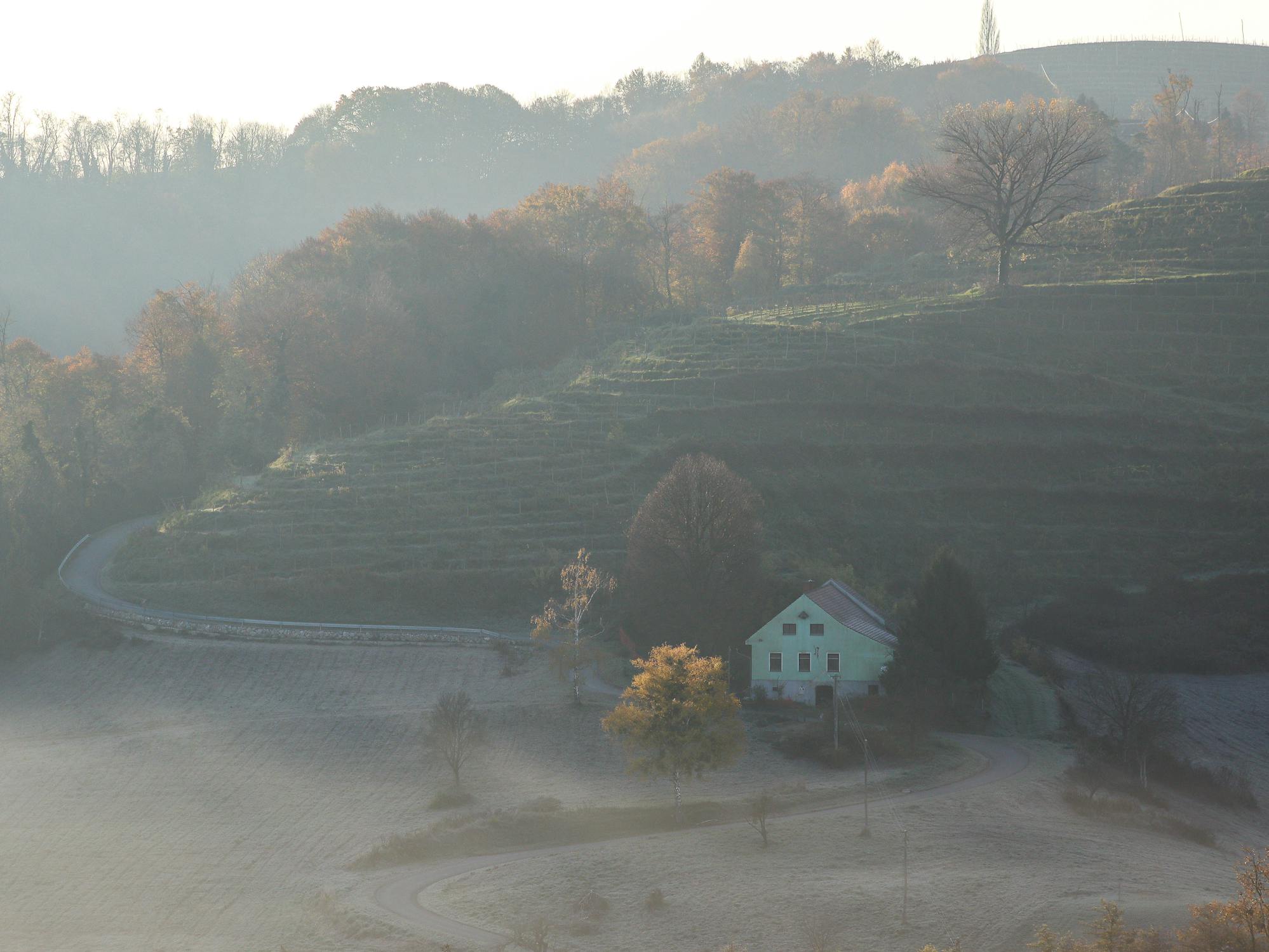 A foggy autumn morning | Source: Pexels