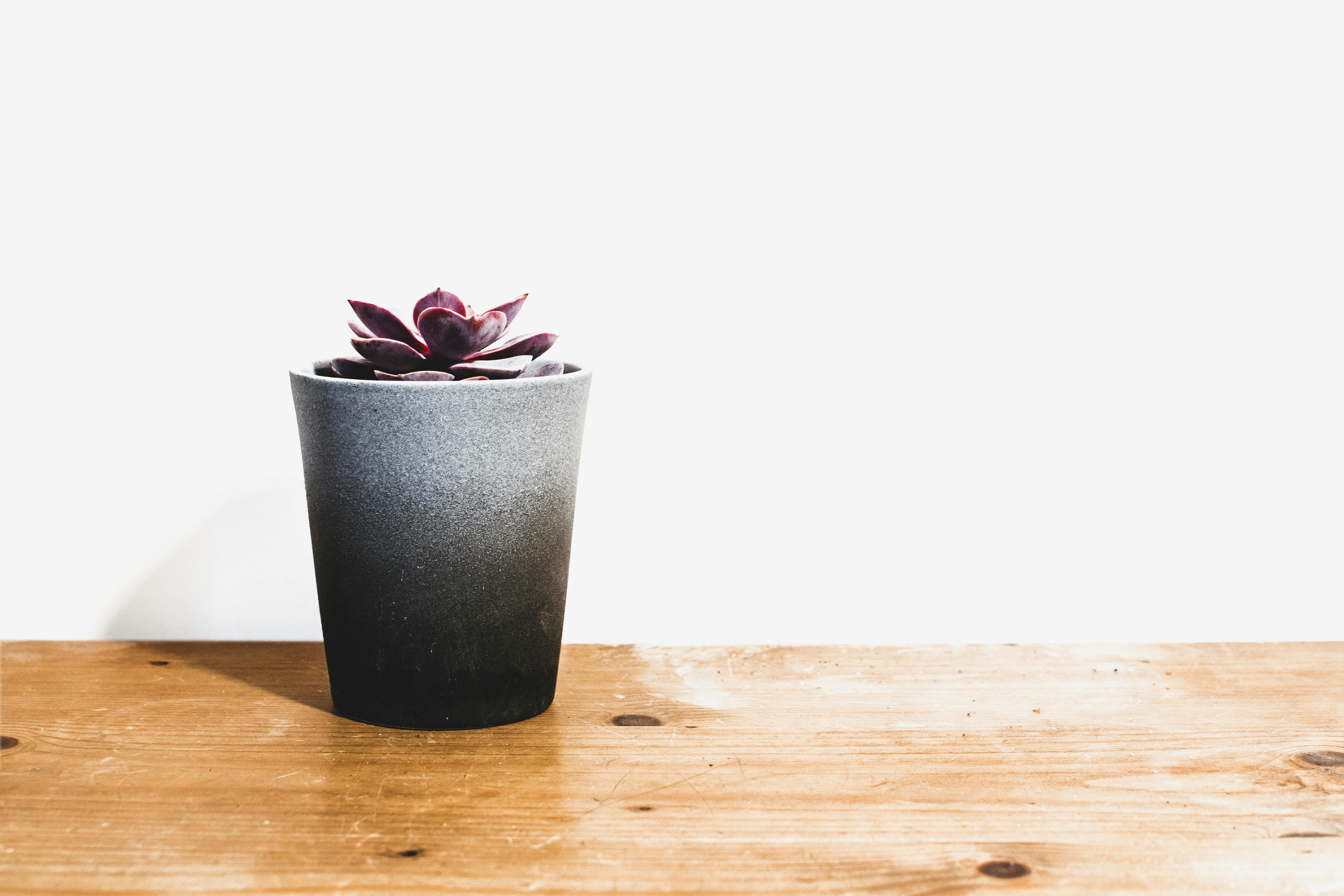 For illustration purposes only. | Source: Pexels