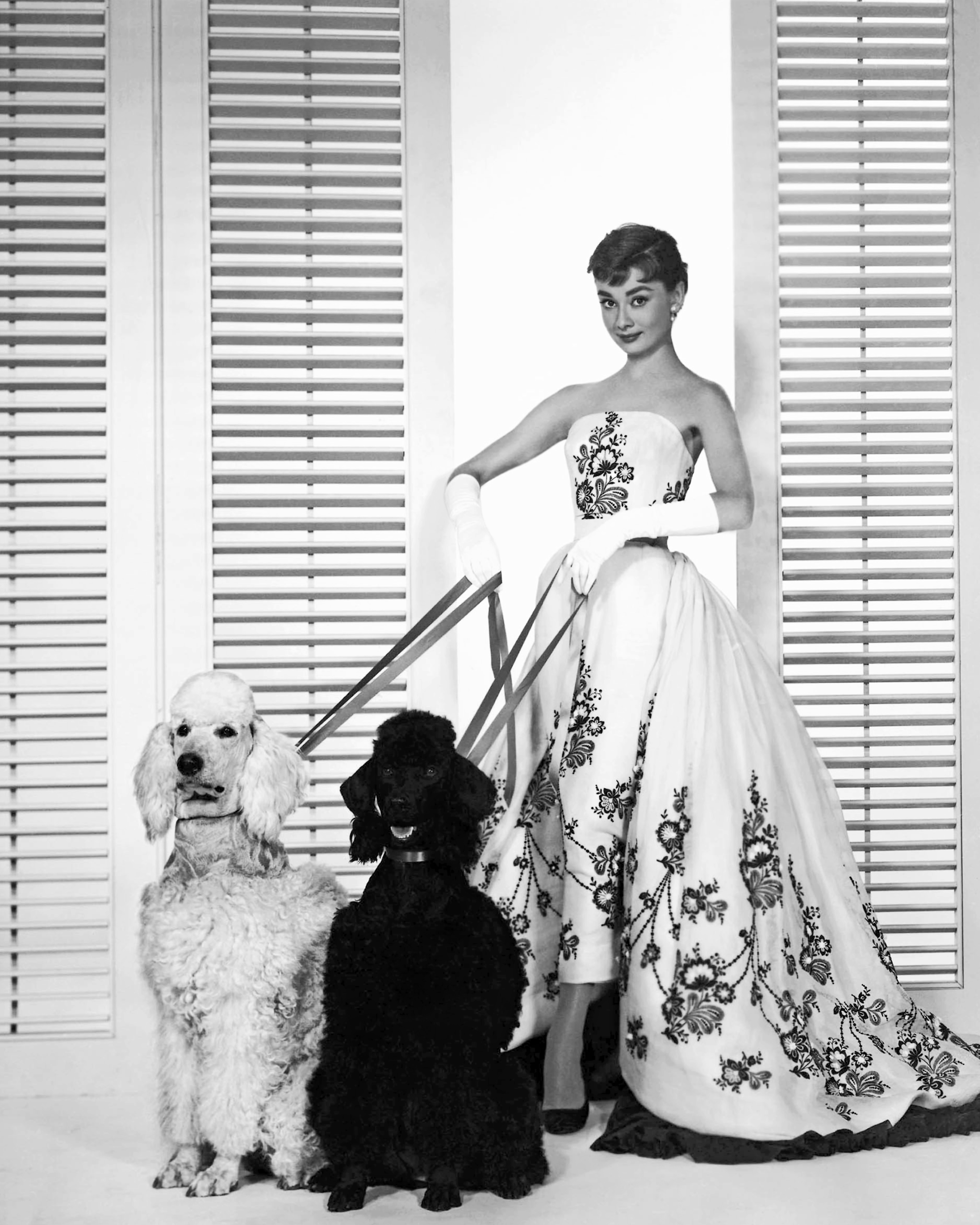 Audrey Hepburn poses for a publicity still for the Paramount Pictures film "Sabrina" in 1954 in Los Angeles, California. | Source: Getty Images