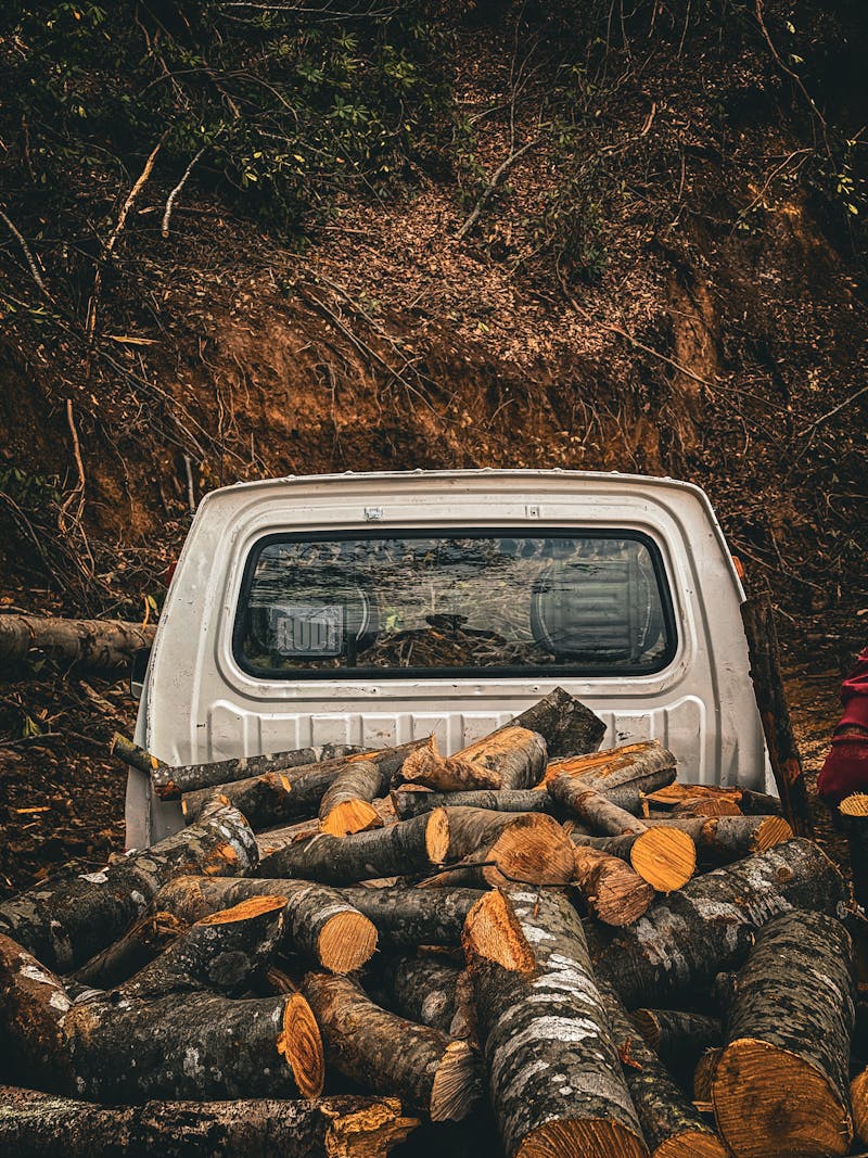 For illustration purposes only. | Source: Pexels