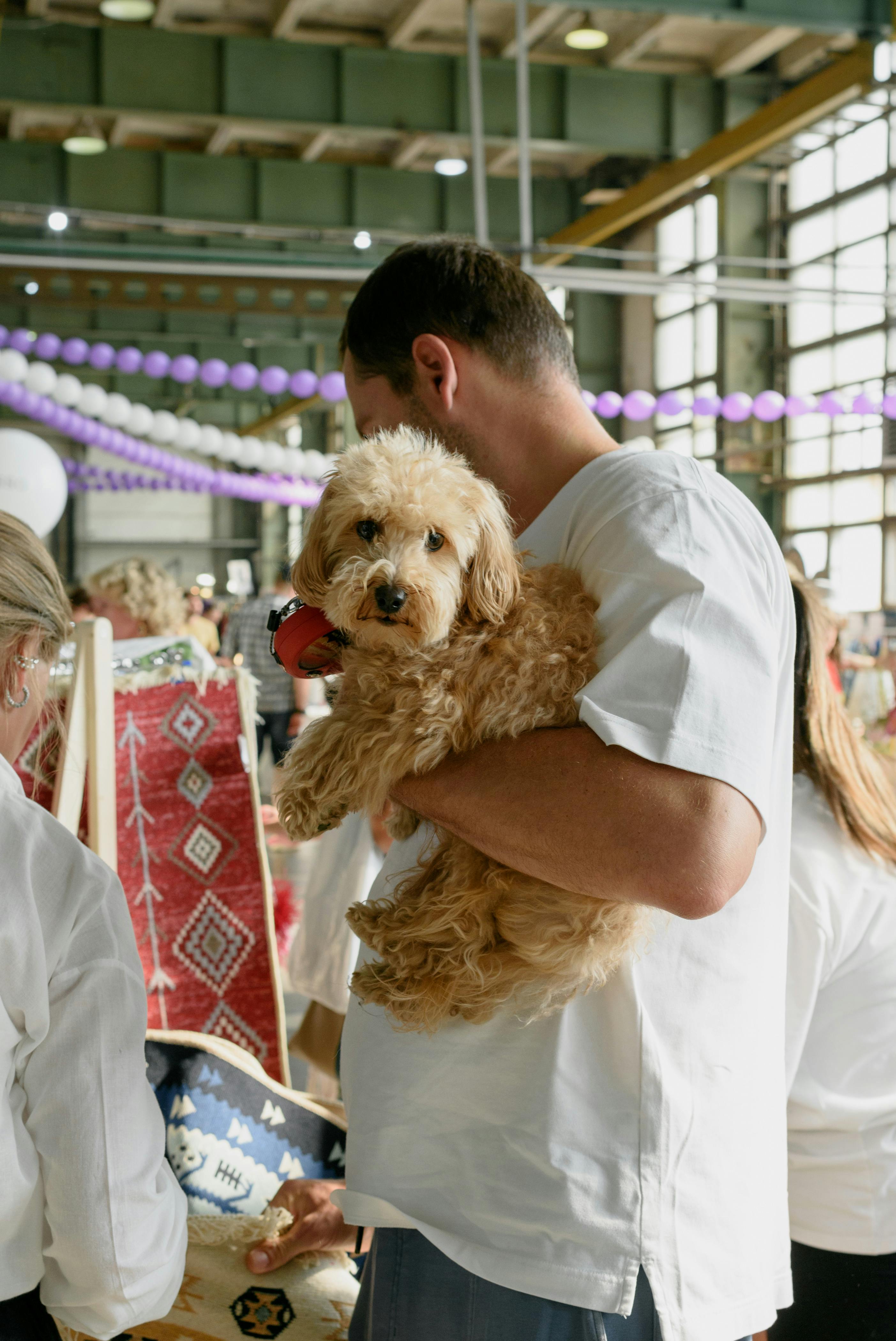 An event with dogs | Source: Pexels