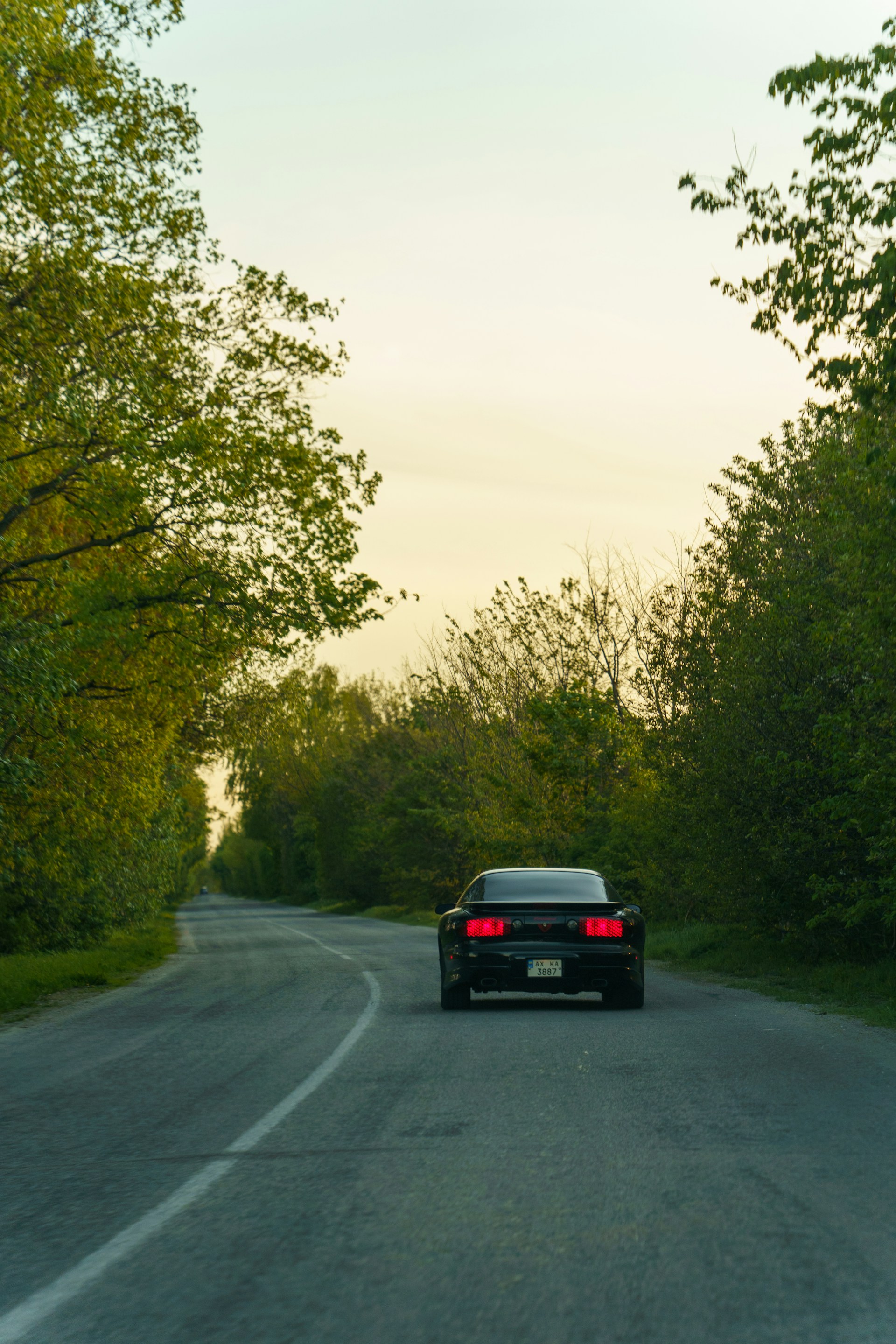 A car on a tree-lined road | Source: Unsplash