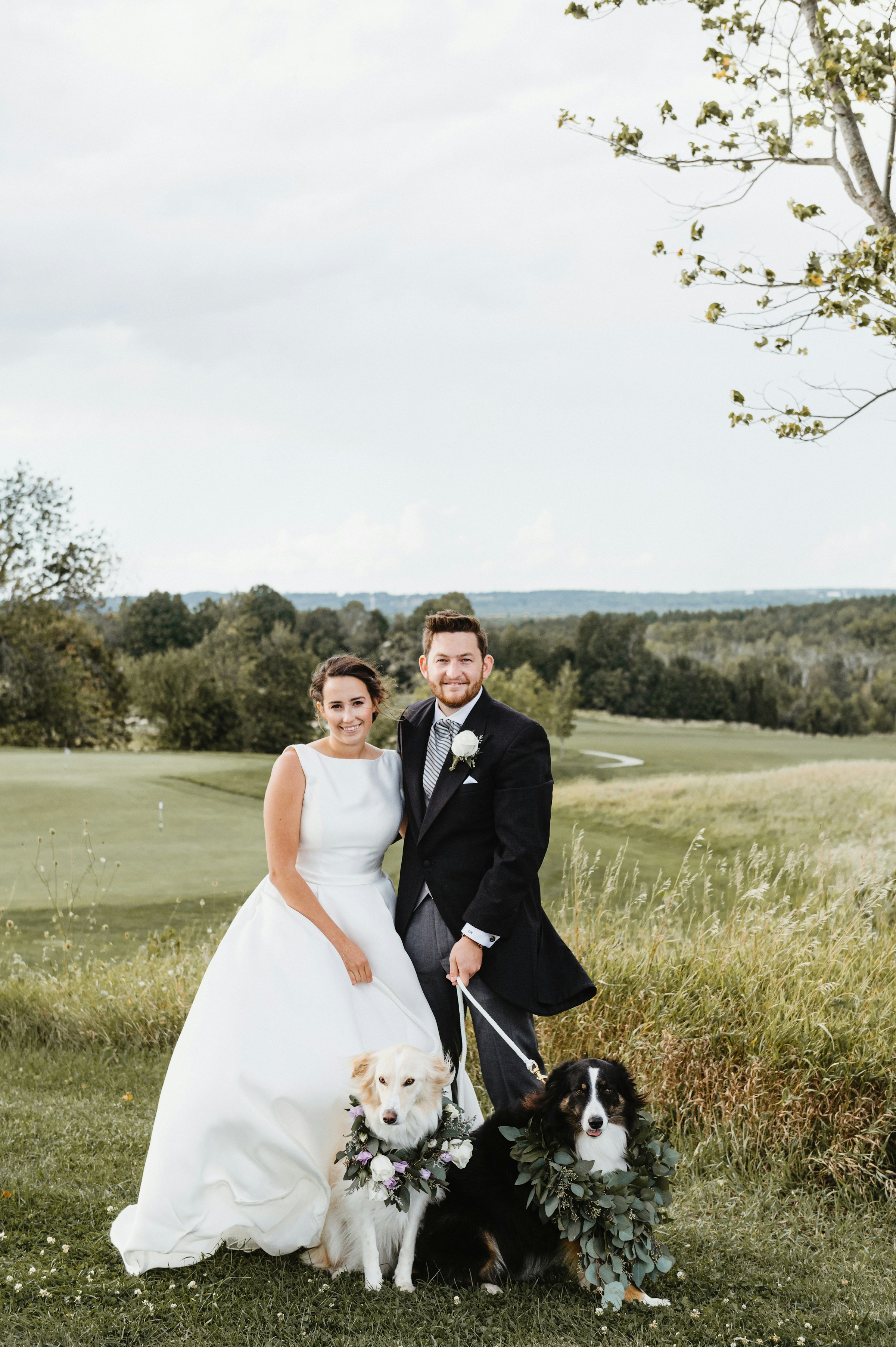 A bride and groom standing on a grass field with their dogs | Source: Unsplash