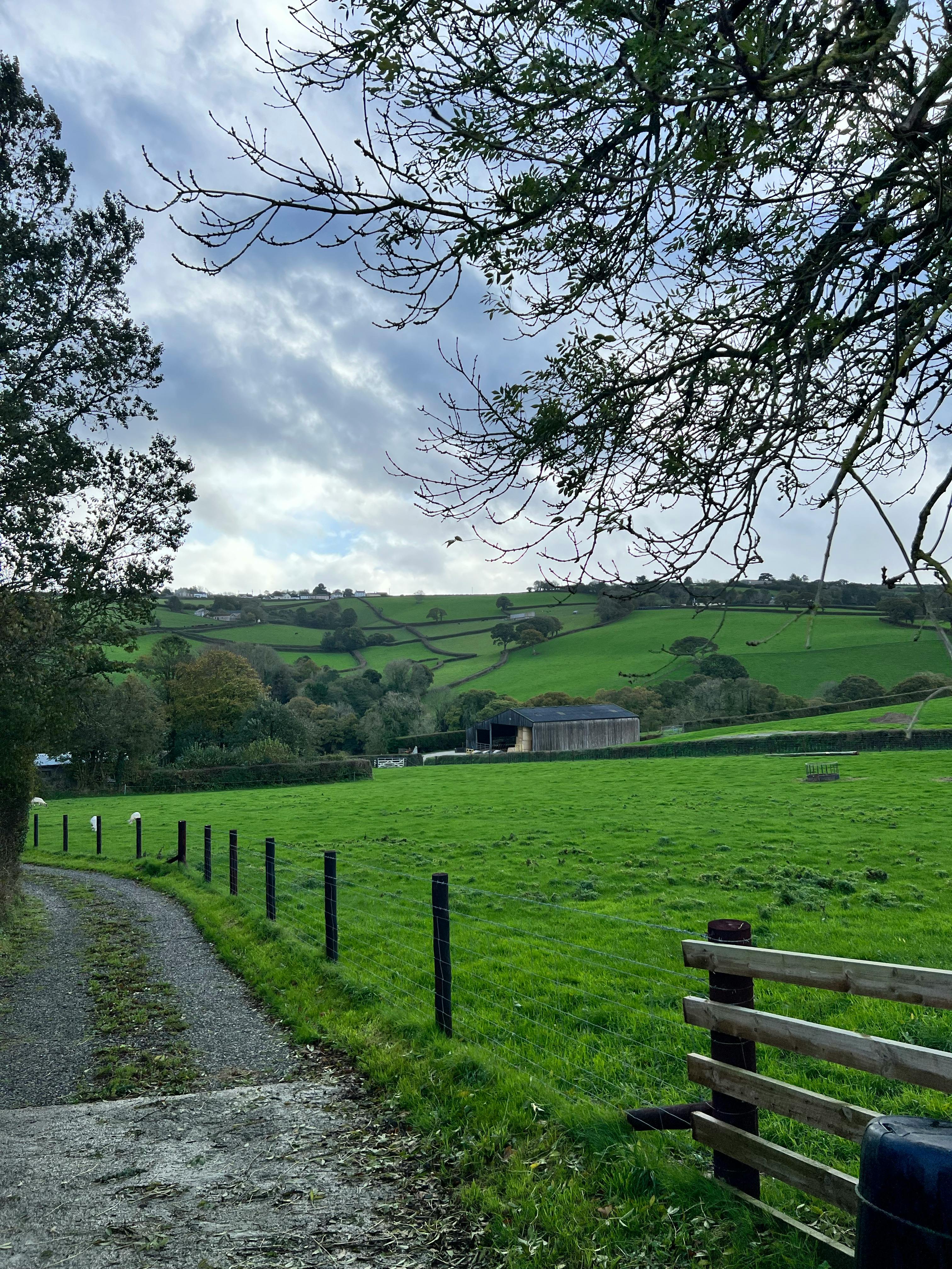A farm | Source: Pexels