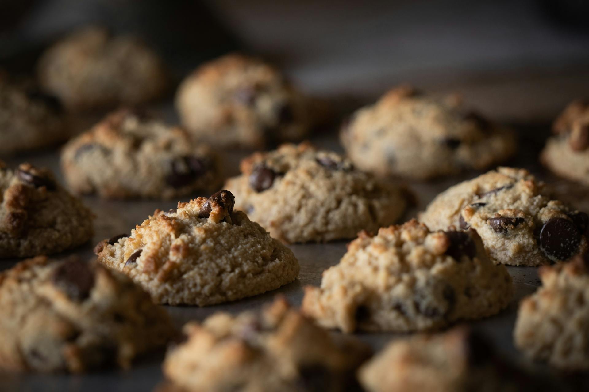 A batch of chocolate chip cookies | Source: Pexels