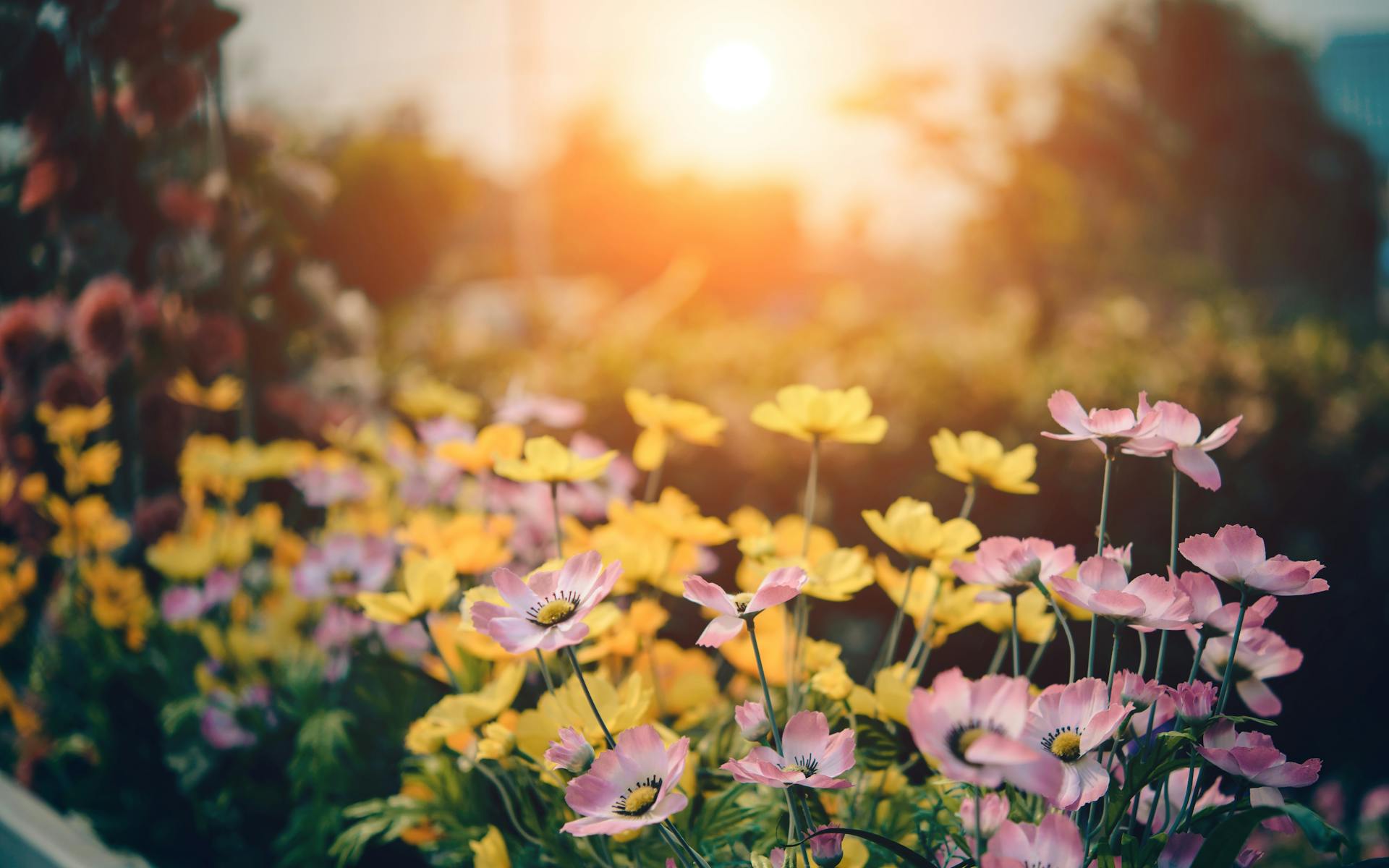 Flowers blooming in a garden | Source: Midjourney