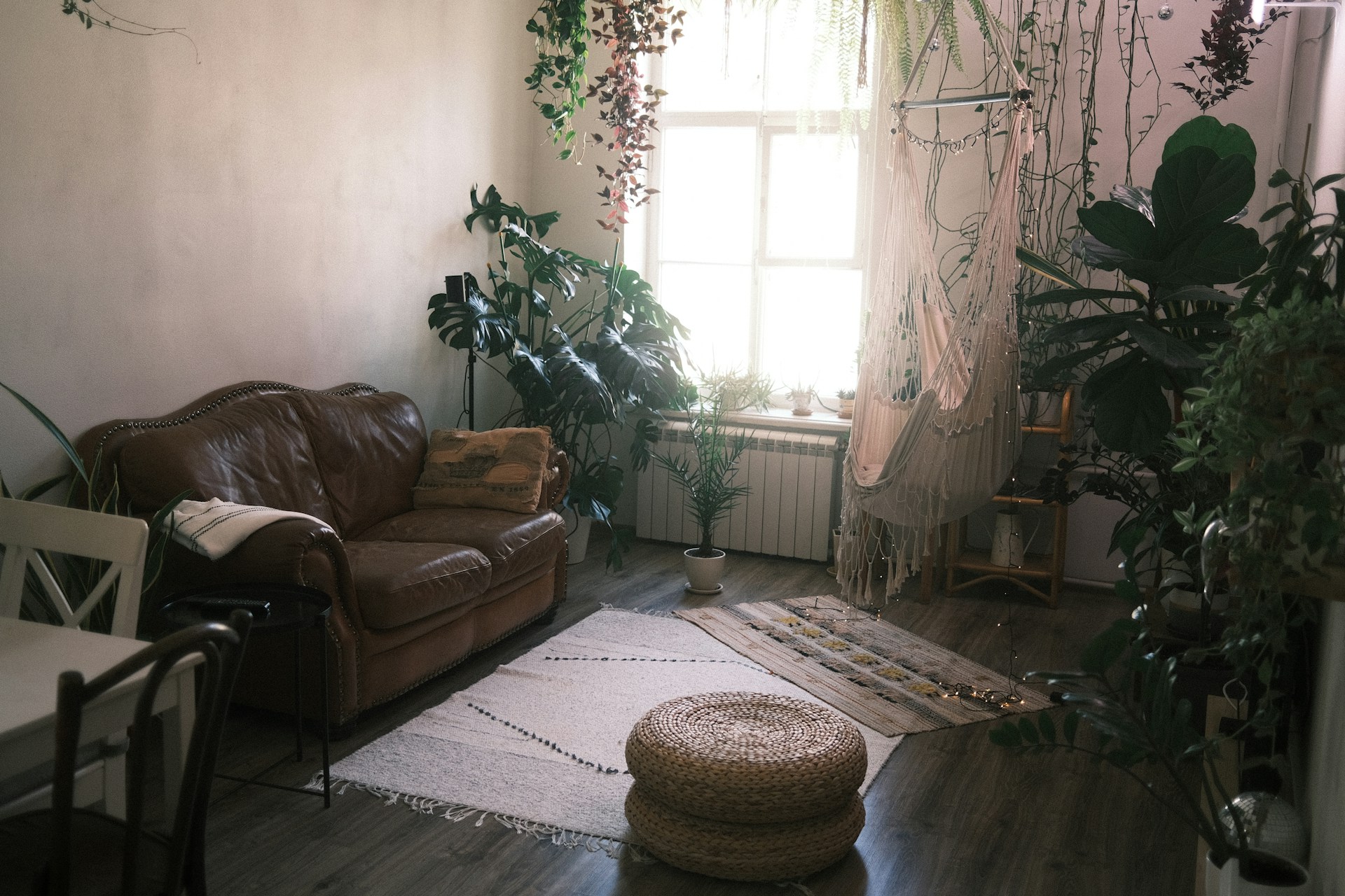 An elegant living room with indoor plants | Source: Unsplash